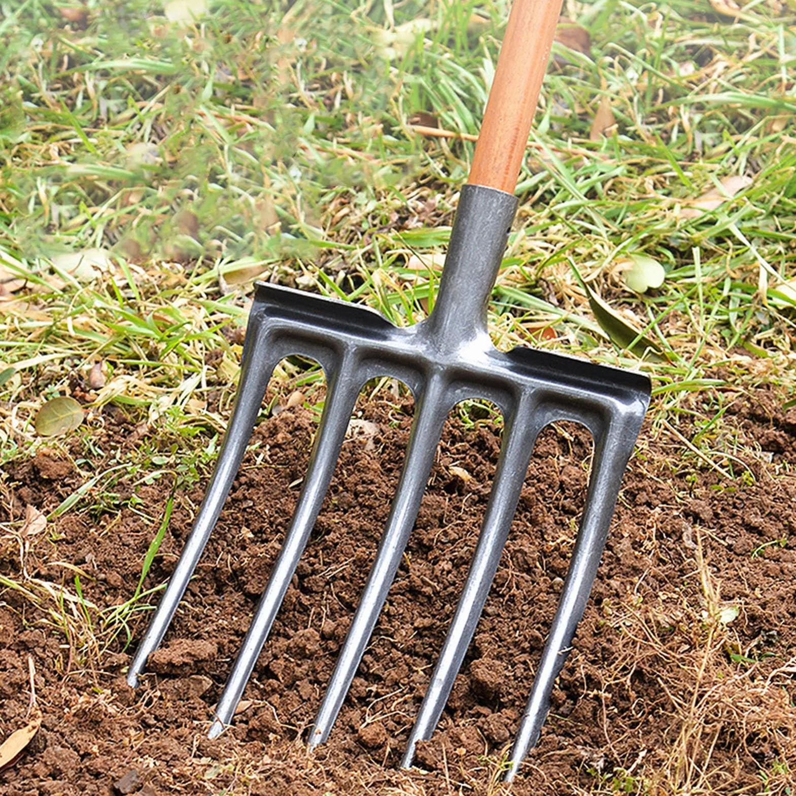 Forca da scavo Forca da giardino Attrezzo da giardino in acciaio al carbonio Forca da scavo Attrezzatura da giardinaggio pratica (5 Denti)