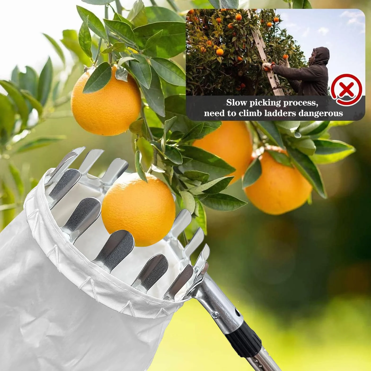 Raccoglitore di Frutta da 4.2m con Manico telescopico-Raccoglitore di Mele con Sacchetti di Tessuto,Raccogli Frutta Regolabile in Altezza per Limoni,Mele,Pere,Pesche,Manghi Arance.