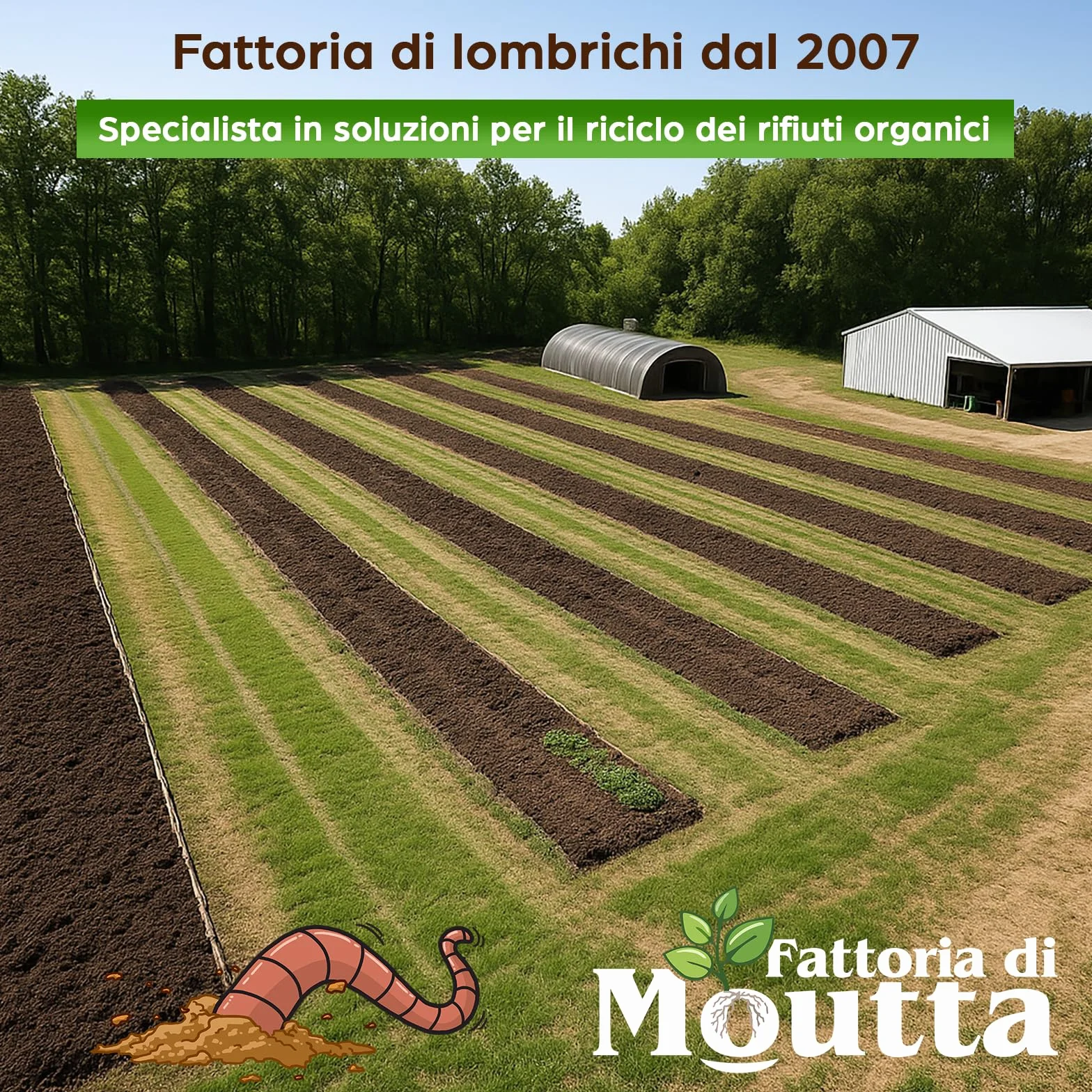 Lombrichi da 500g (circa 1,000 pz.) | Vermi vivi da terra Eisenia, crea un compost con i tuoi rifiuti organici - Per vermicompostaggio/composter/giardino