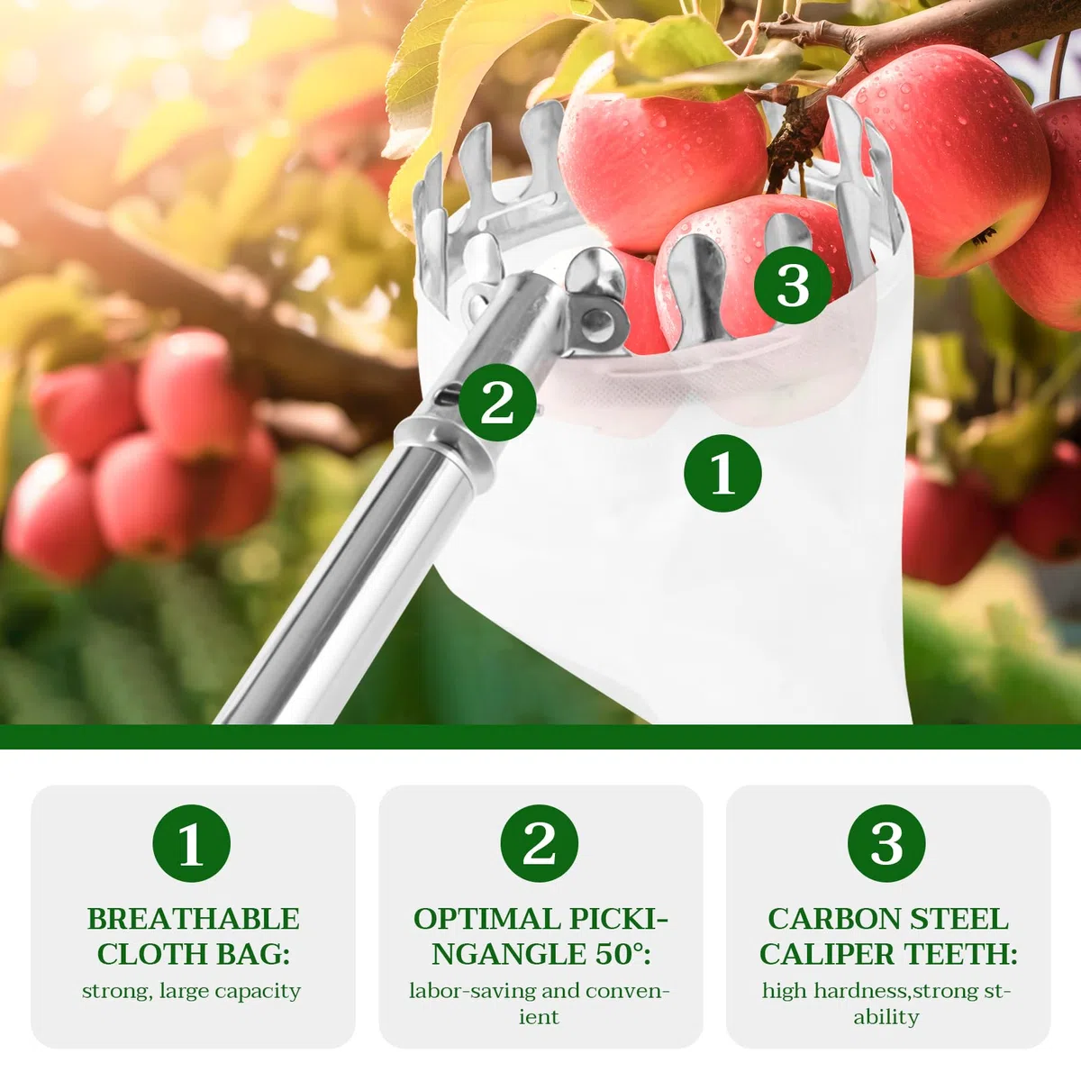 Raccogli frutta con manico telescopico, in acciaio inox, 4,2 m, raccogli mele, ciliegie, lunghezza regolabile, raccolta prugne, frutta con sacchetto di cotone