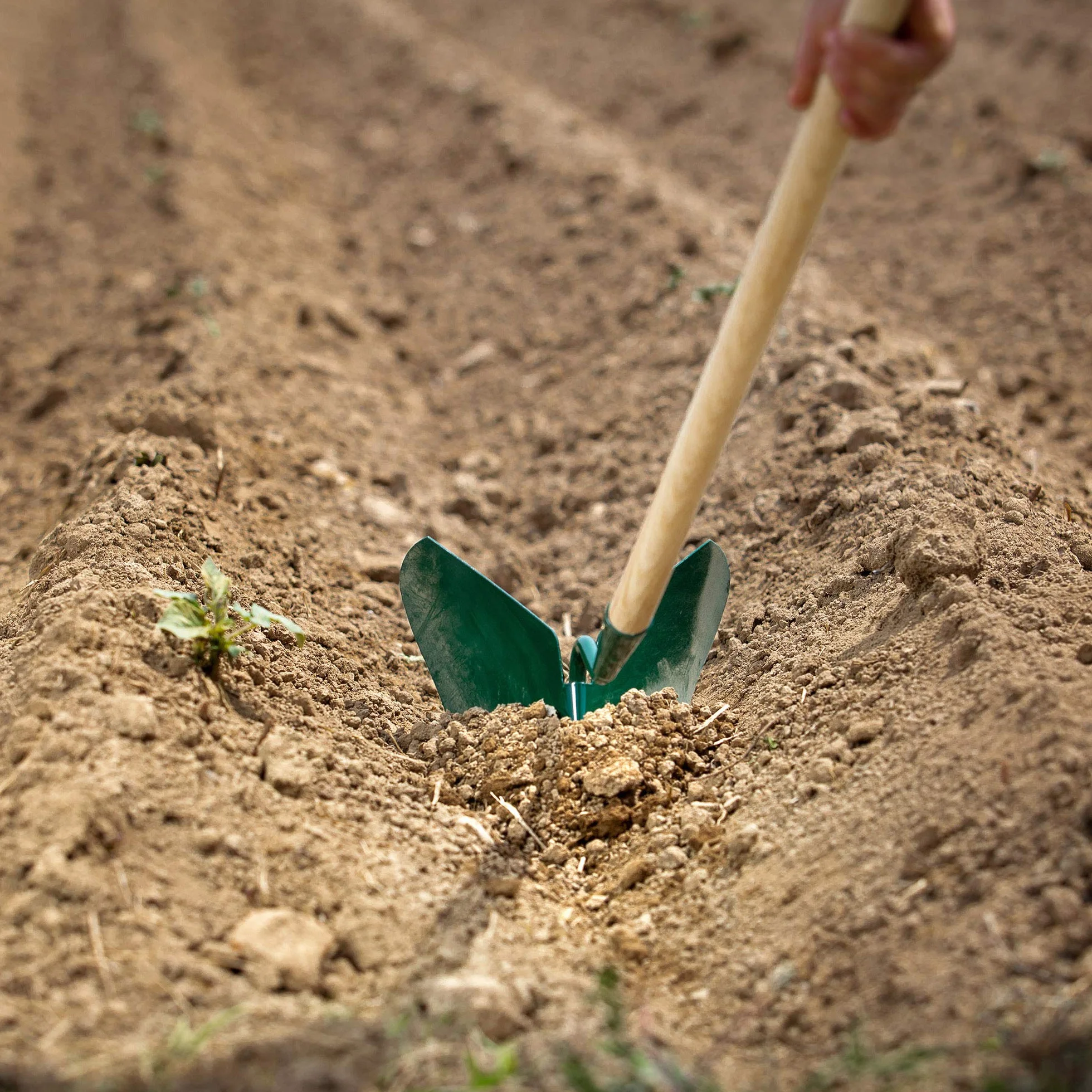 Kadax Cultivator con manico in legno, aratro a mano, taglierina di patate, utensili da giardino