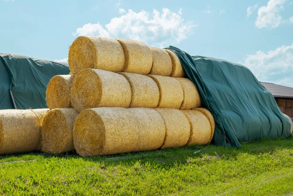 AGRIplus Telo di Copertura, 9,8 x 12,5 m (122,5 m²), 160 g/m², Tessuto di paglia, versatile, estremamente resistente allo strappo per una protezione a lungo termine, resistente ai raggi UV