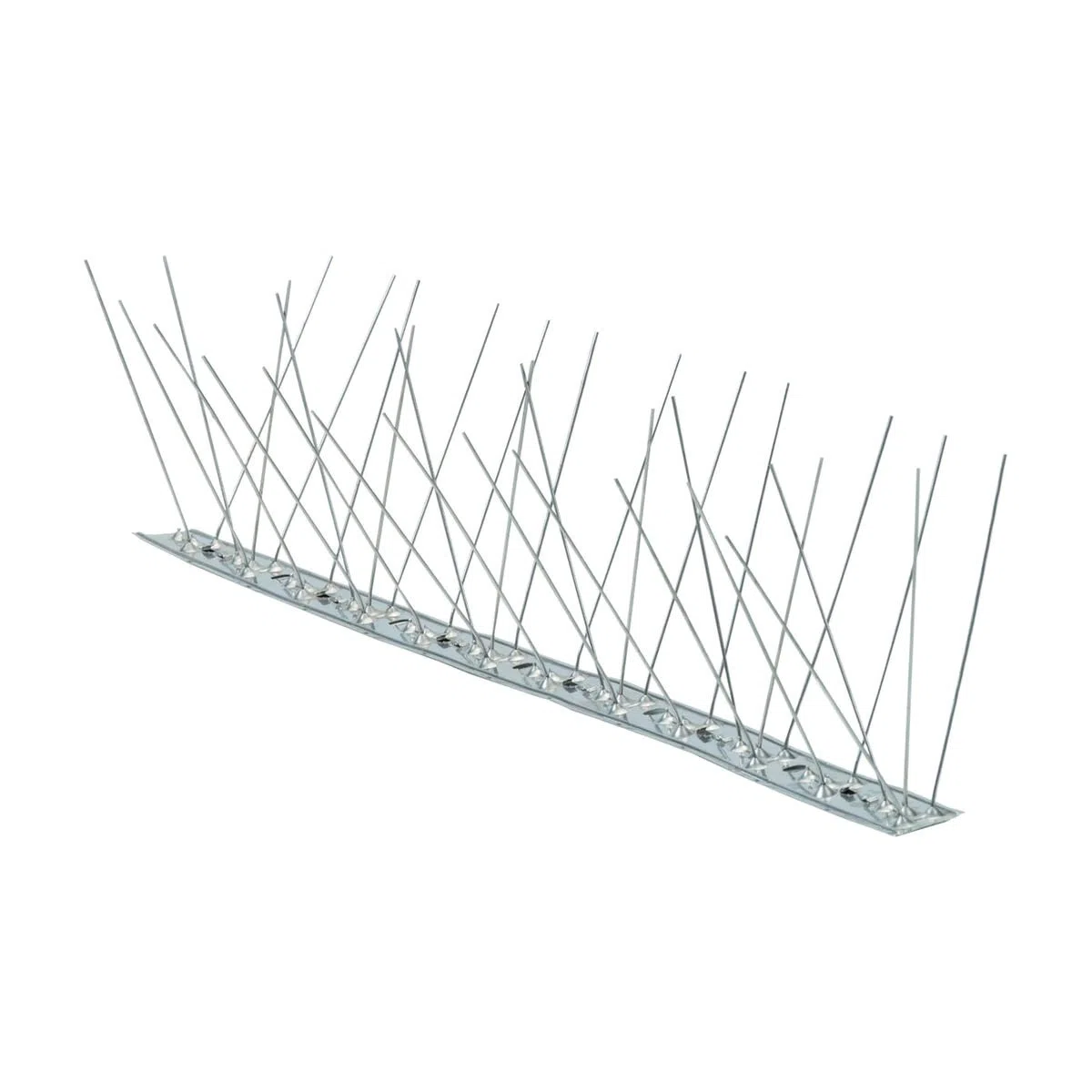 Digitalbird 25 MT DISSUASORI INOX spilli per piccioni volatili uccelli colombi