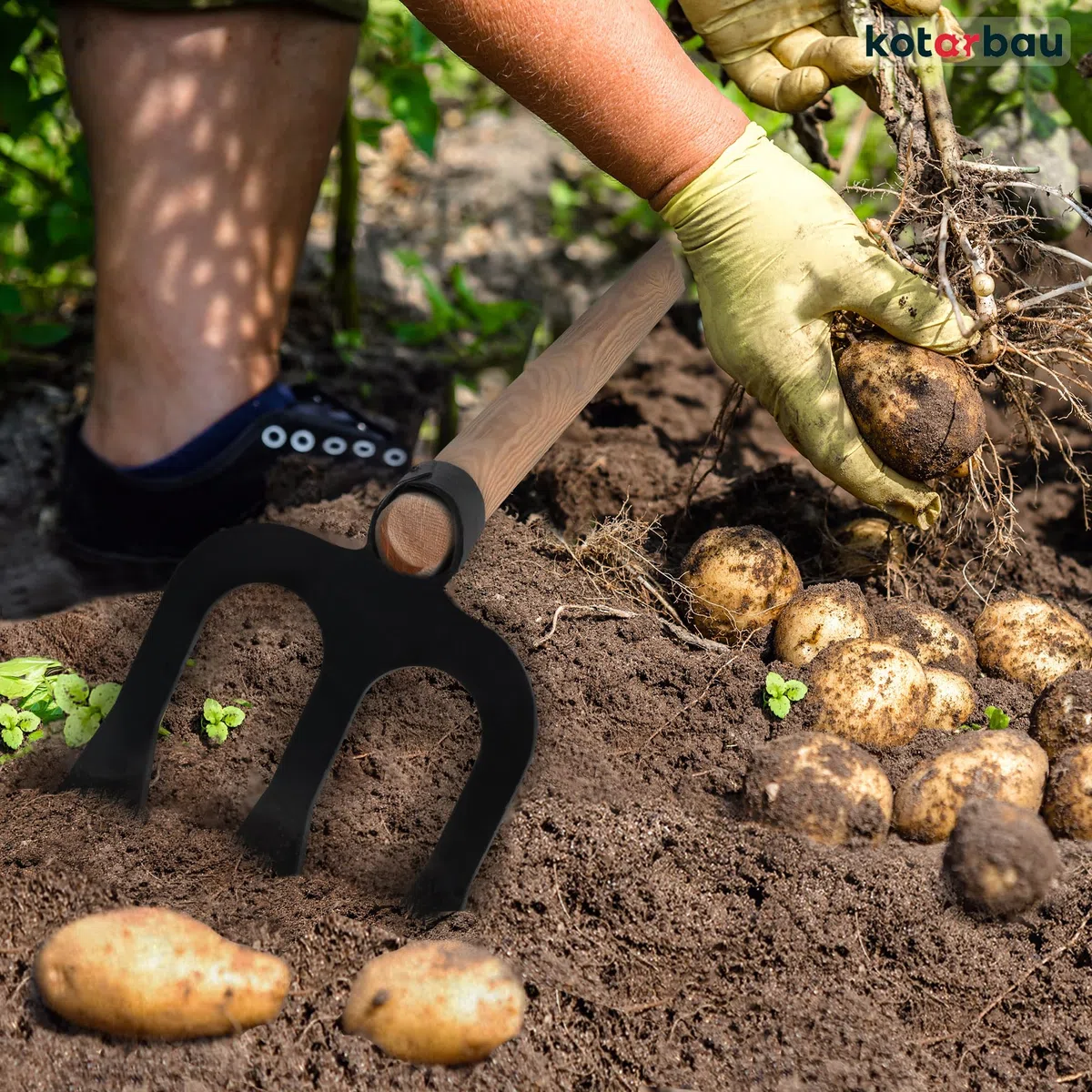 KOTARBAU® Forca a 3 Denti per Scavare Patate con Manico in Legno 90 cm Forchetta da Giardino Strumenti Manuali Attrezzi Accessori da Giardino