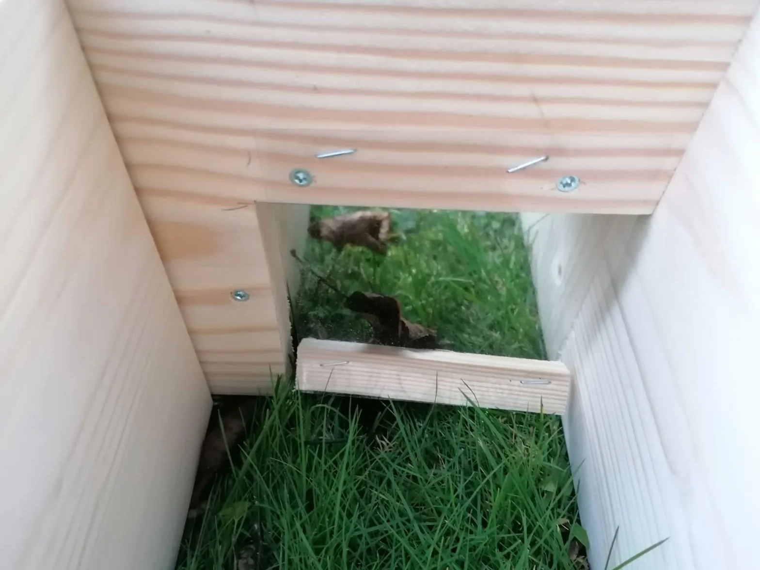 Casetta per ricci per ricci (IG7) bruciata con ingresso labirinto e patta in rattan e apertura per tetto rimovibile per una facile pulizia