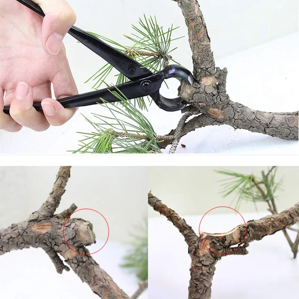MBLUE Professionale Giardino Ramo Cutter 210mm Manganese Lega di Acciaio Bordo Rotondo Bonsai Strumento di Taglio Principiante Ramo Albero Strumento trim