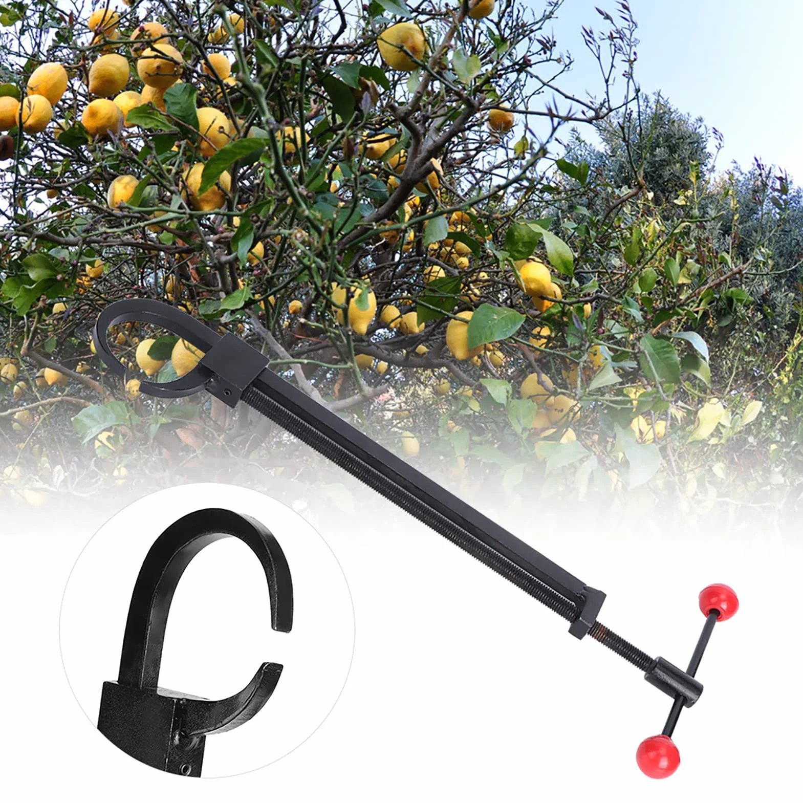 Piega Rami Bonsai Regolabile, per Piegare Rami Pesanti, Jack Bonsai in Acciaio al Manganese, Strumento Bonsai per Piegare e Formare per Addestrare e Curare Alberi Bonsai