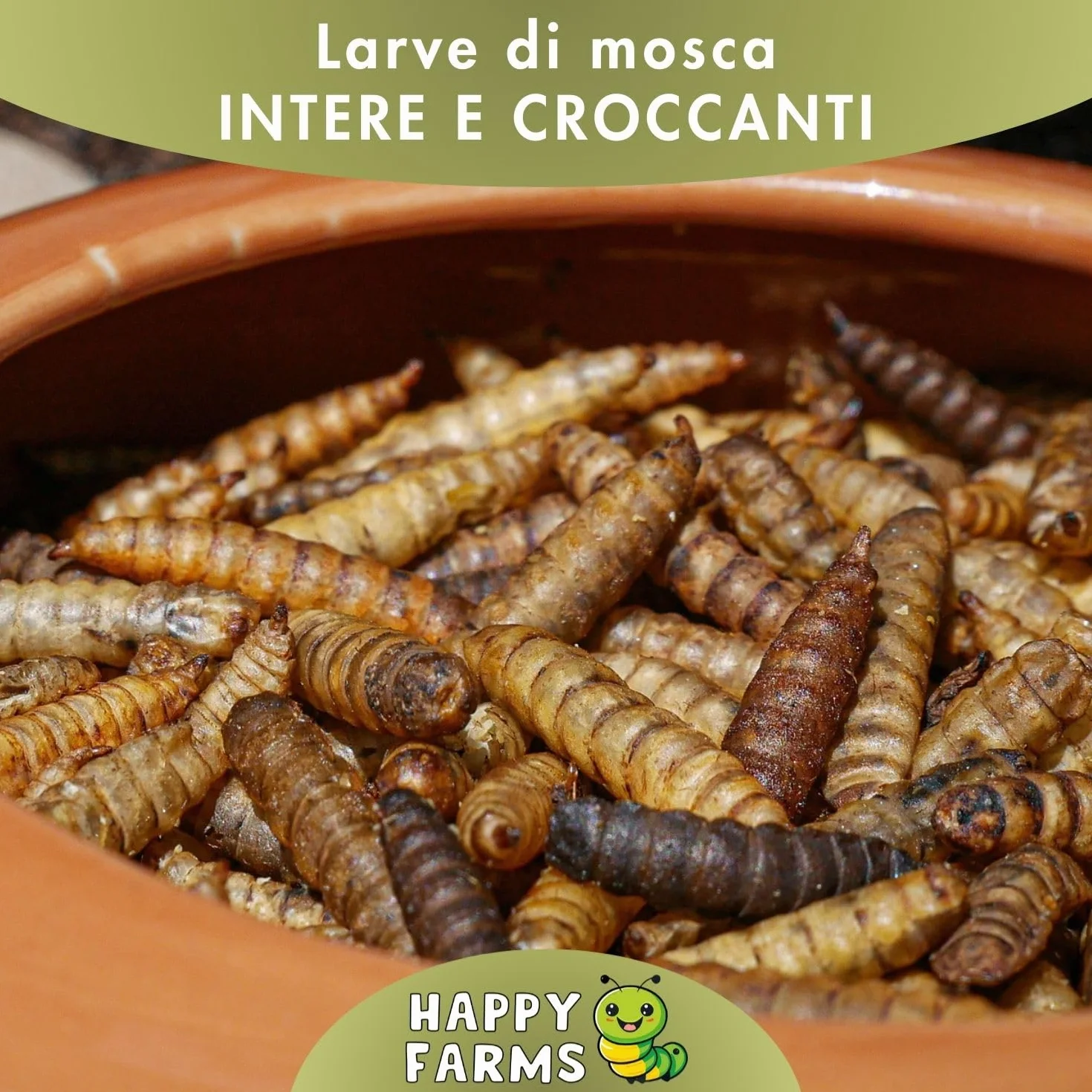 Larve di mosca soldati secchi 10 kg mangime ricco di proteine per uccelli, ricci e pesci