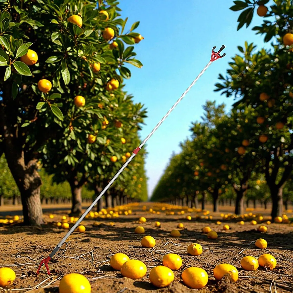 TANIASHOP Asta Telescopica Pinza Raccogli Frutta da Giardino Raccoglitore Oggetti Rifiuti 'H1,80-3,05' per Afferrare Oggetti Difficili da Raggiungere Leggero Raccoglitore per Arance, Limoni, Fichi