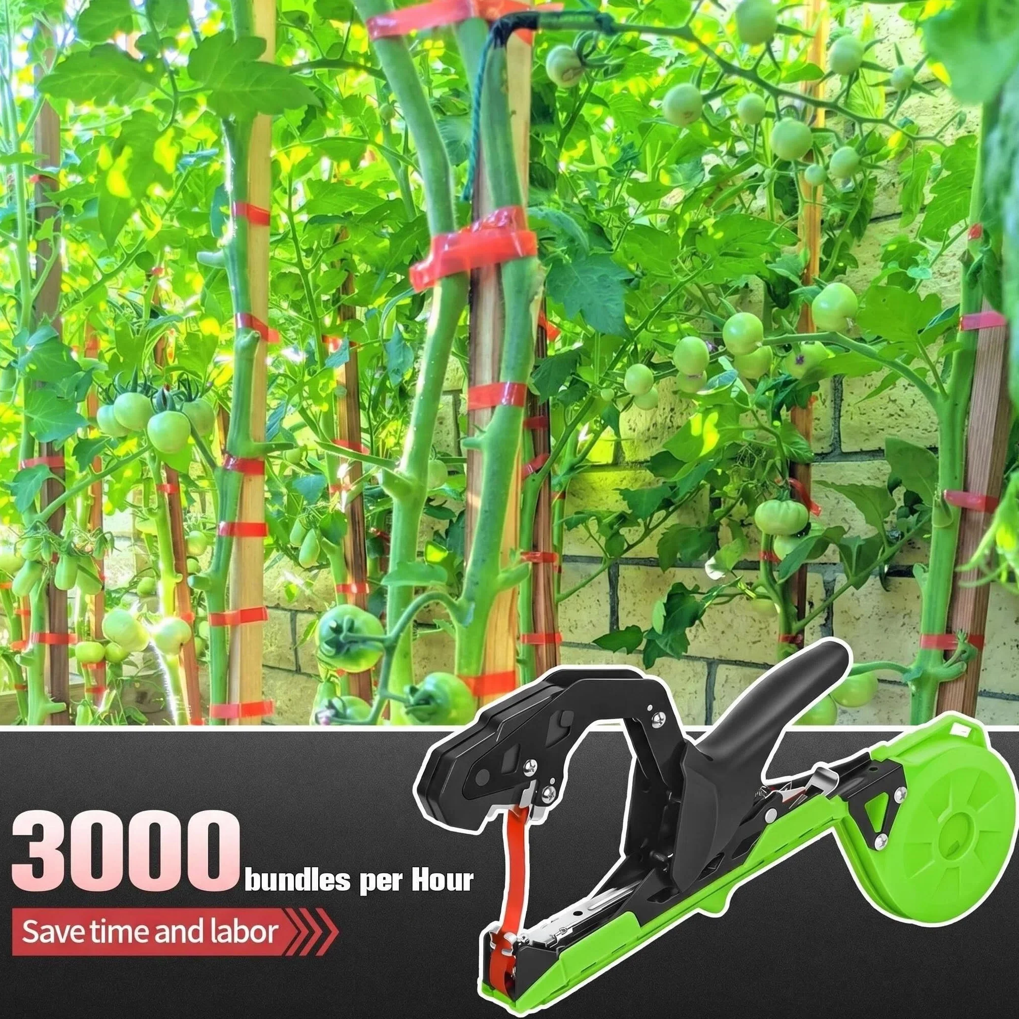 Legatrice Manuale per Pomodori Viti e UVA con Nastro e Graffette Verde/Nero