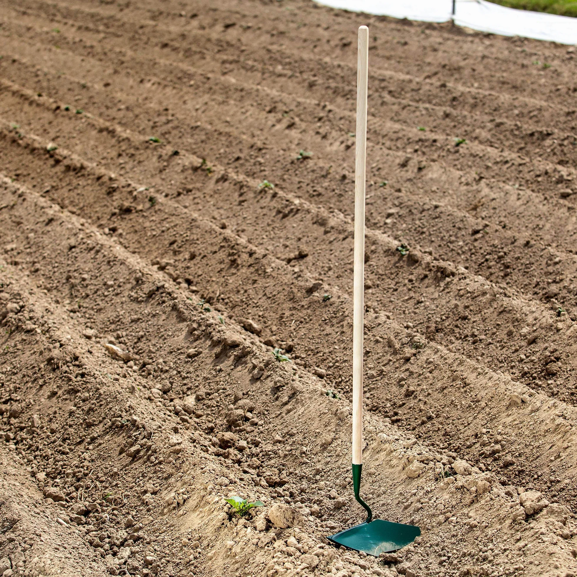 Kadax Cultivator con manico in legno, aratro a mano, taglierina di patate, utensili da giardino