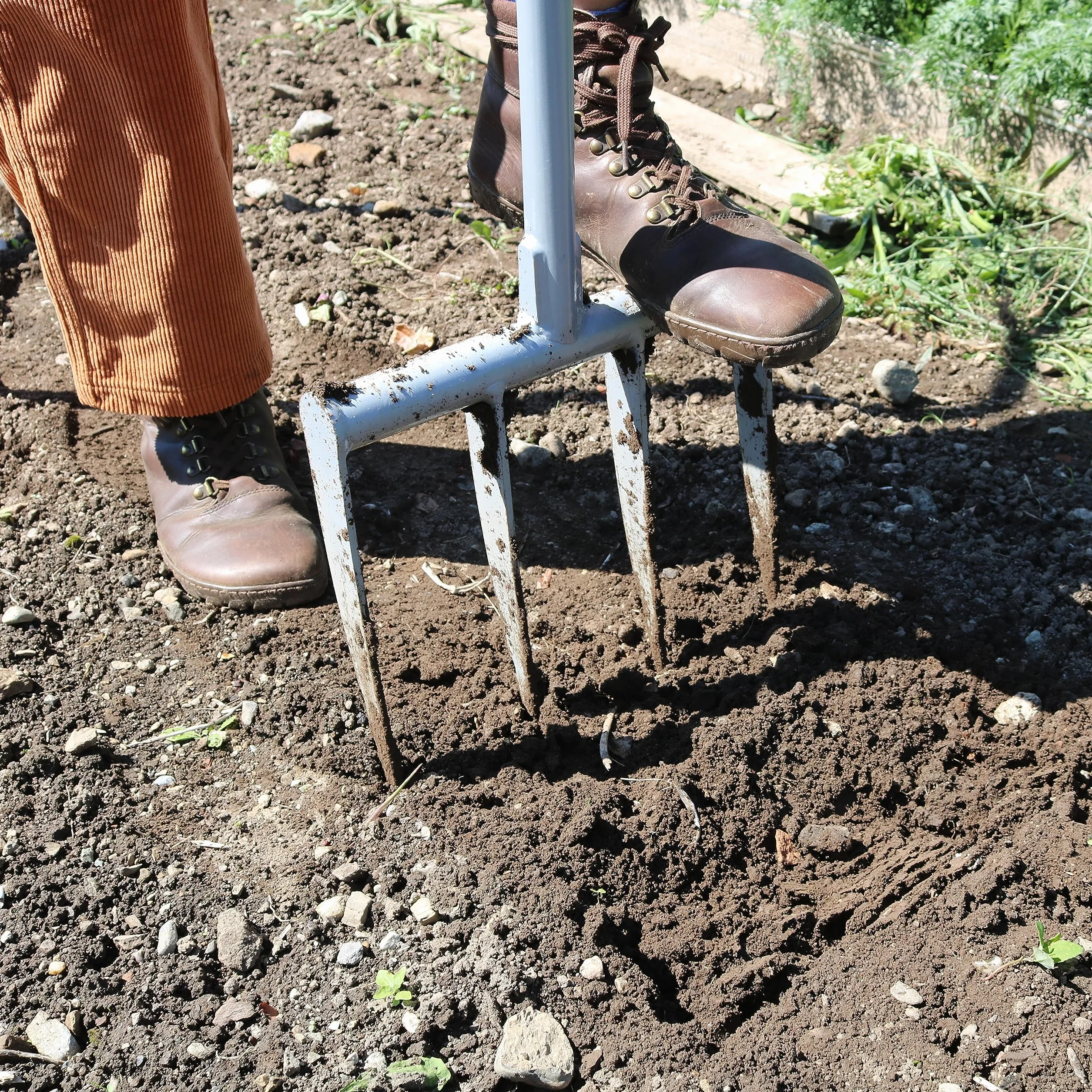 Forca vanga TERRADIX 4 x 250 – Allentamento ottimale e ventilazione delle aiuole – per una costruzione di humus di successo – Larghezza di lavoro 31 cm – Lunghezza denti 25 cm