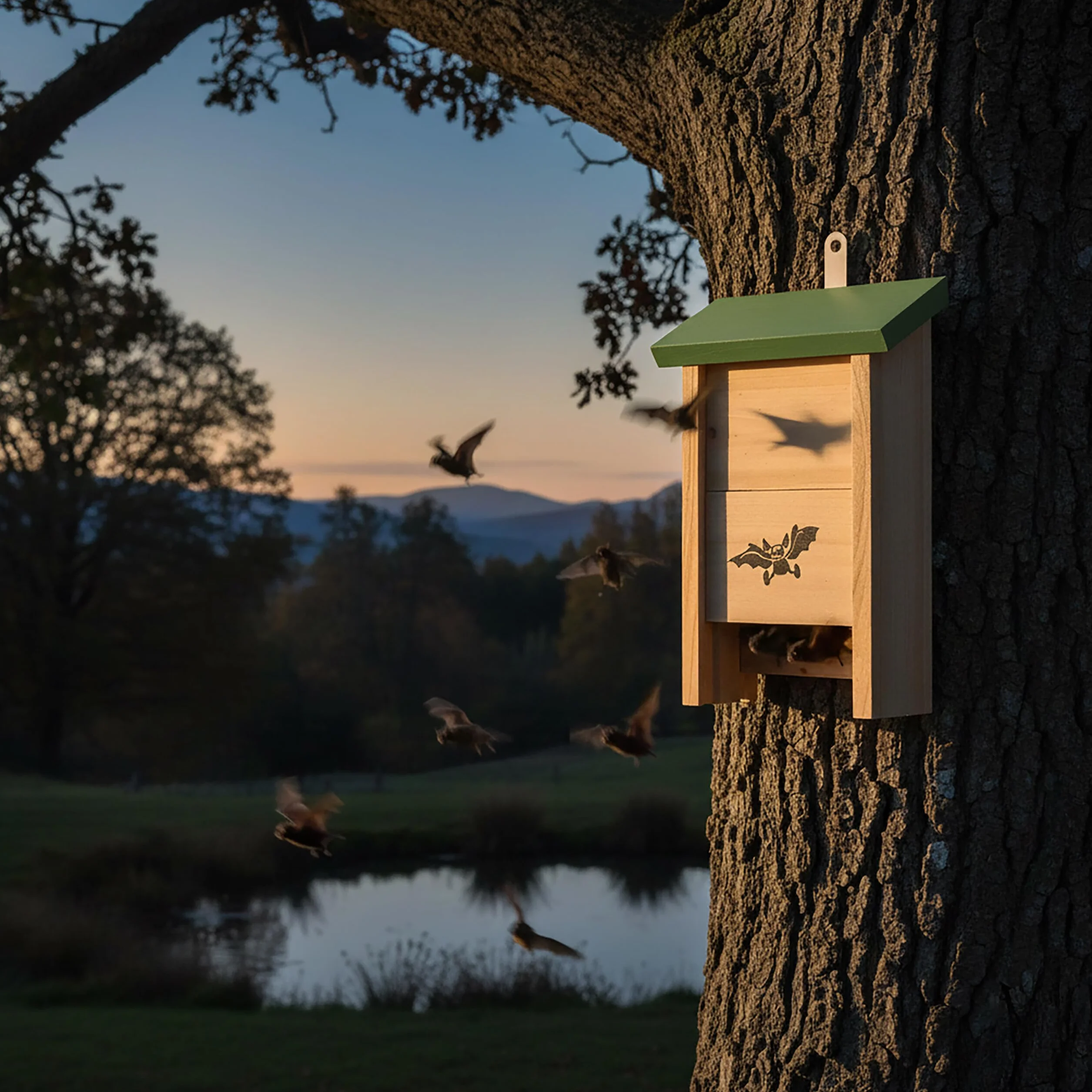 Relaxdays Casetta per Pipistrelli in Legno Set da 4 Naturale Verde HBT 25 x 18 x 6 cm
