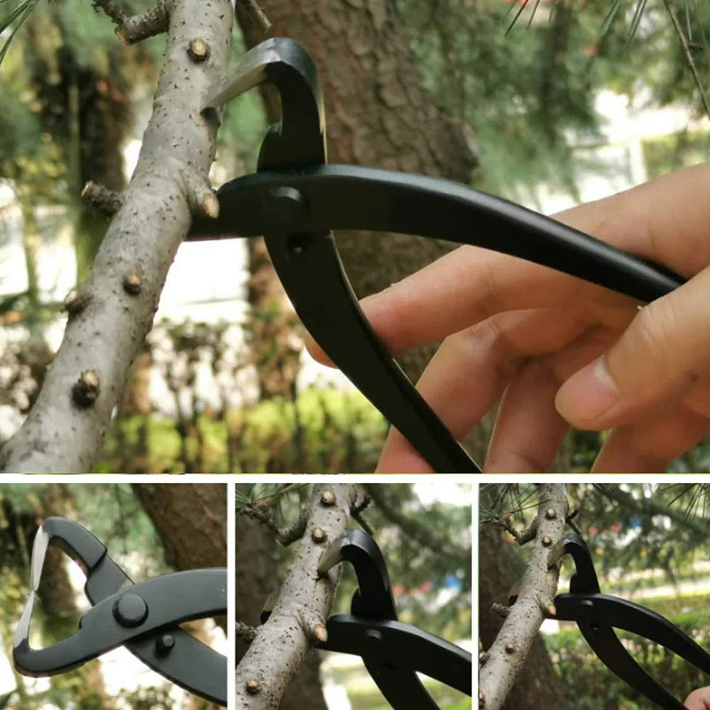 Set di Attrezzi per Bonsai, Kit di Taglio da Giardino, Acciaio Inossidabile di Alta qualità per Frutteto