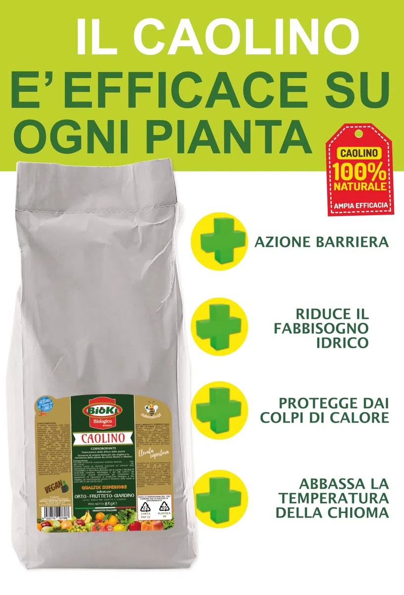 Caolino per agricoltura polvere di roccia sacco 8 kg - corroborante difese naturali piante