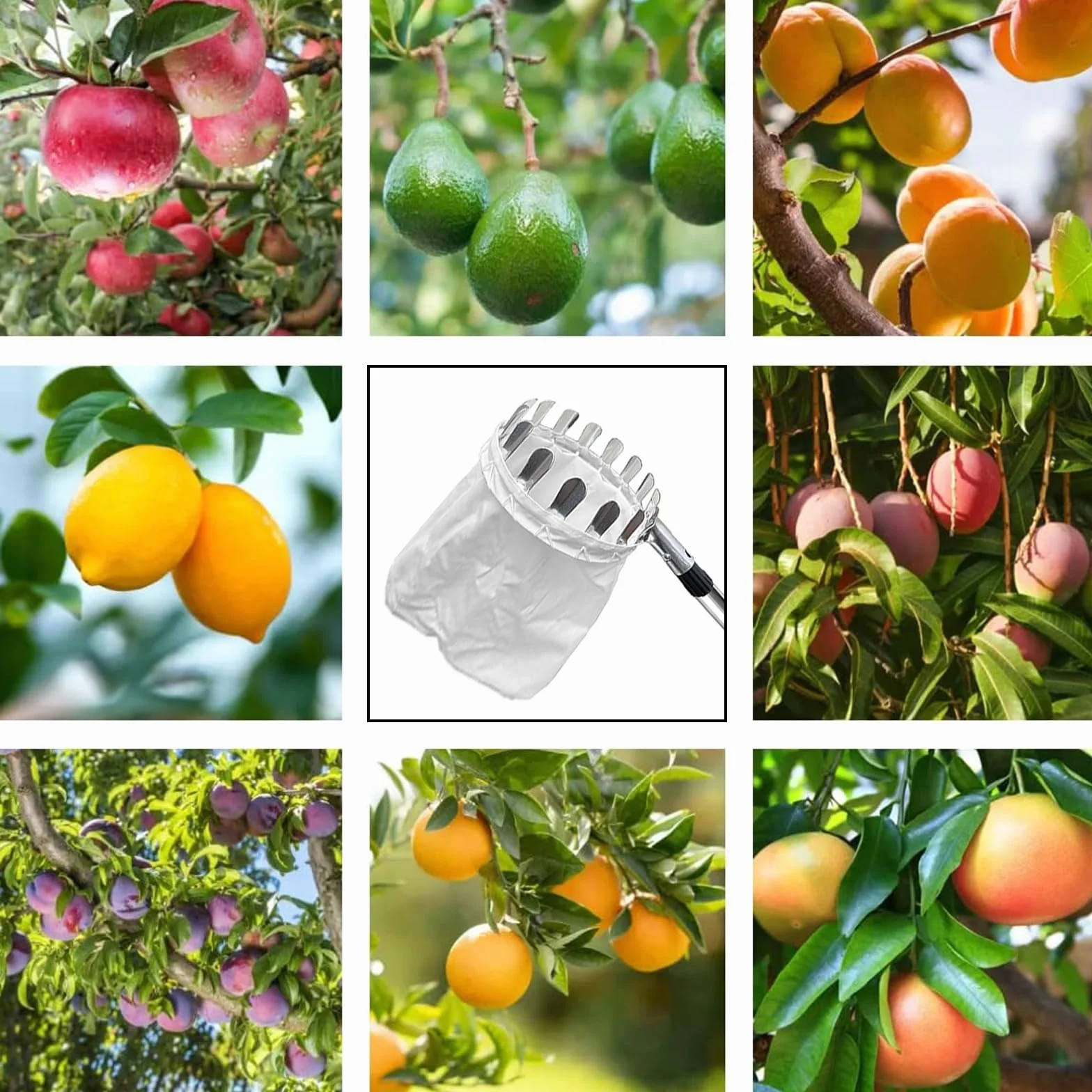 Raccoglitore di Frutta da 4.2m con Manico telescopico-Raccoglitore di Mele con Sacchetti di Tessuto,Raccogli Frutta Regolabile in Altezza per Limoni,Mele,Pere,Pesche,Manghi Arance.