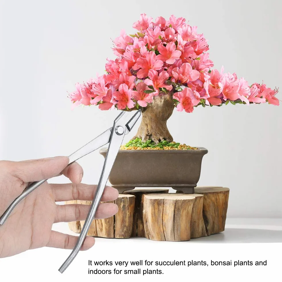 Pomello per bonsai in acciaio inox pinza piegafilo per bonsai per la cura del giardino pinza piegafilo per bonsai strumento di modellazione per bonsai pinze per Cutters pour Bonsaï