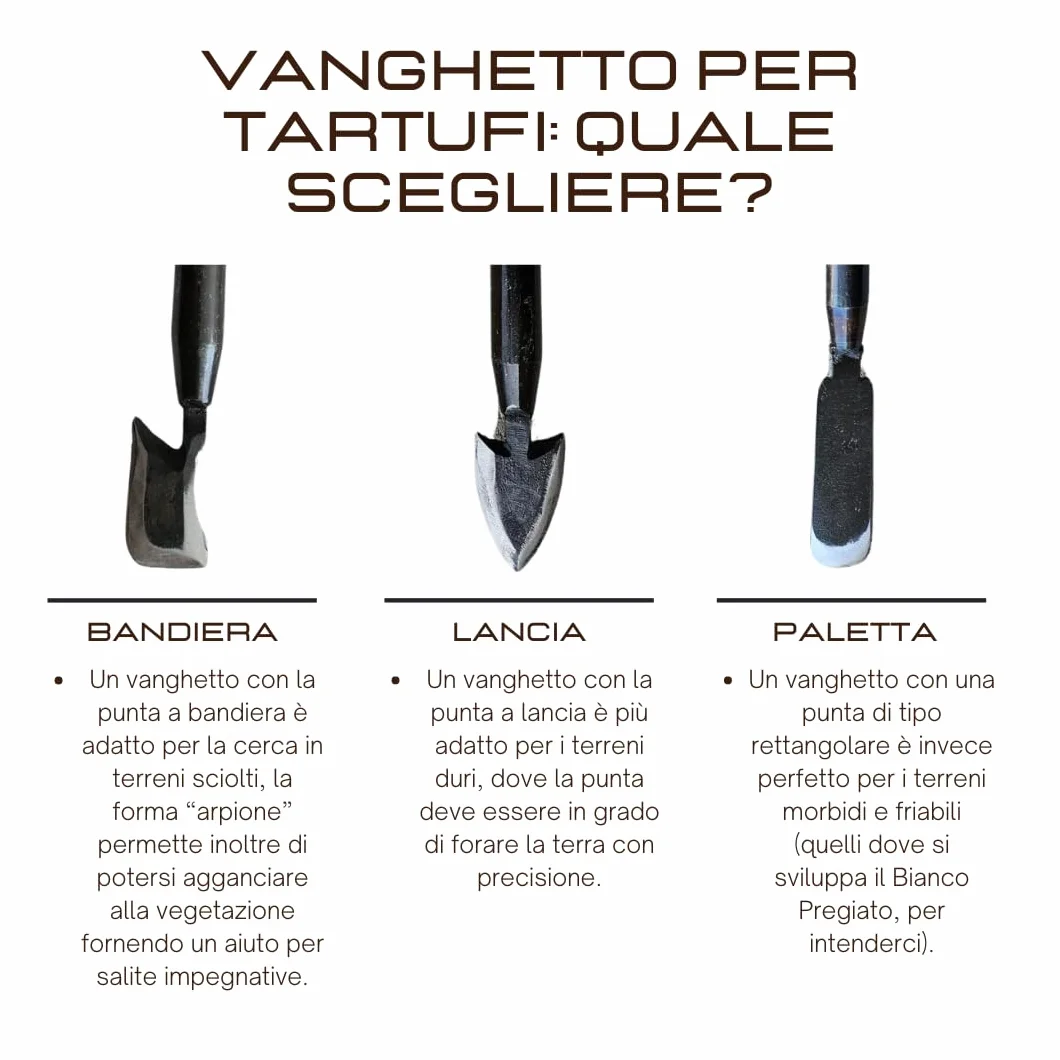 Vanghetto per Tartufi Professionale con Punta in Acciaio Temprato I Manico in Legno Verniciato I Completo di Cinturino in Nylon per il Trasporto a Tracolla (LANCIA GRANDE)