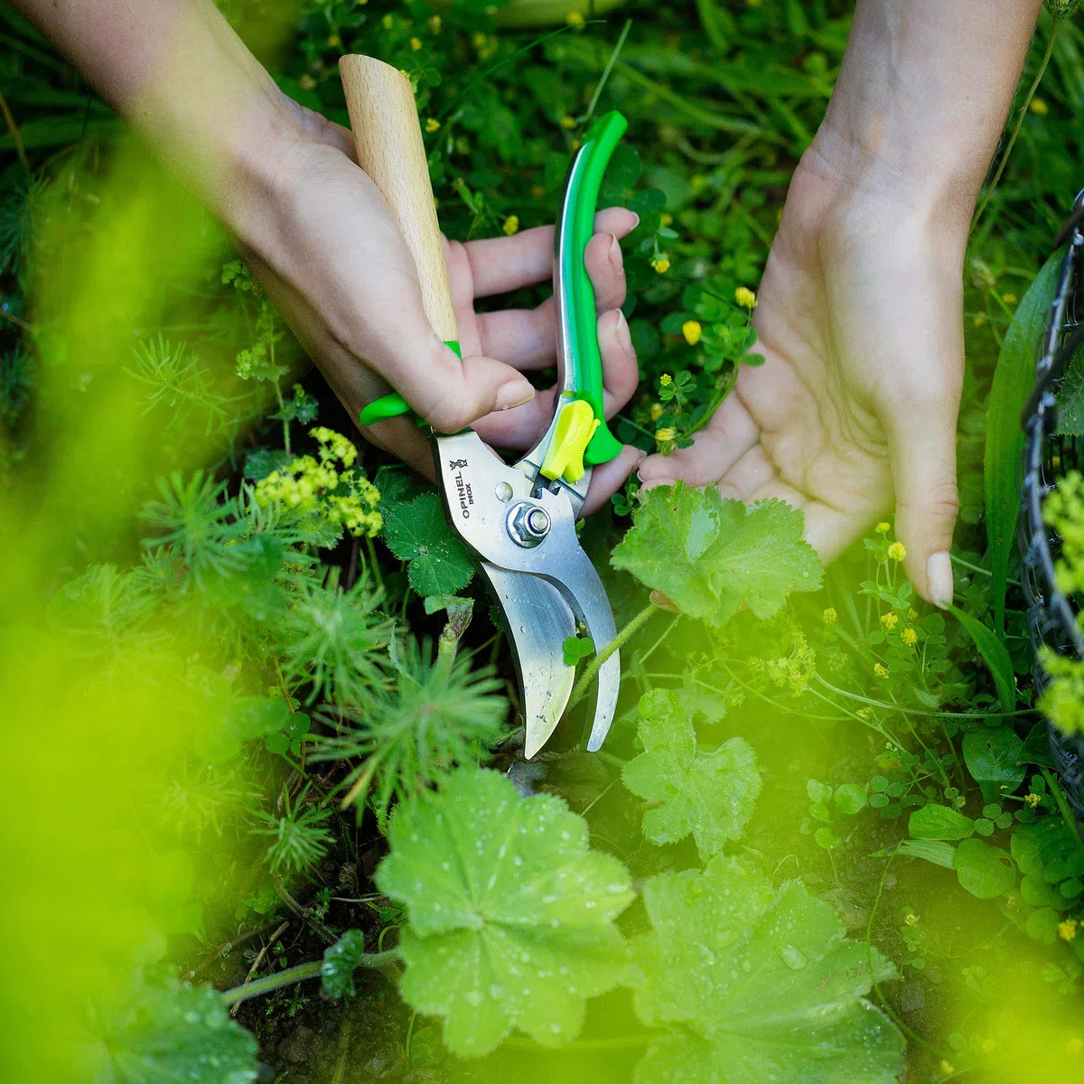 Opinel Forbici da Giardino Prairie 3 Posizioni Lama Acciaio Inossidabile Manico Faggio