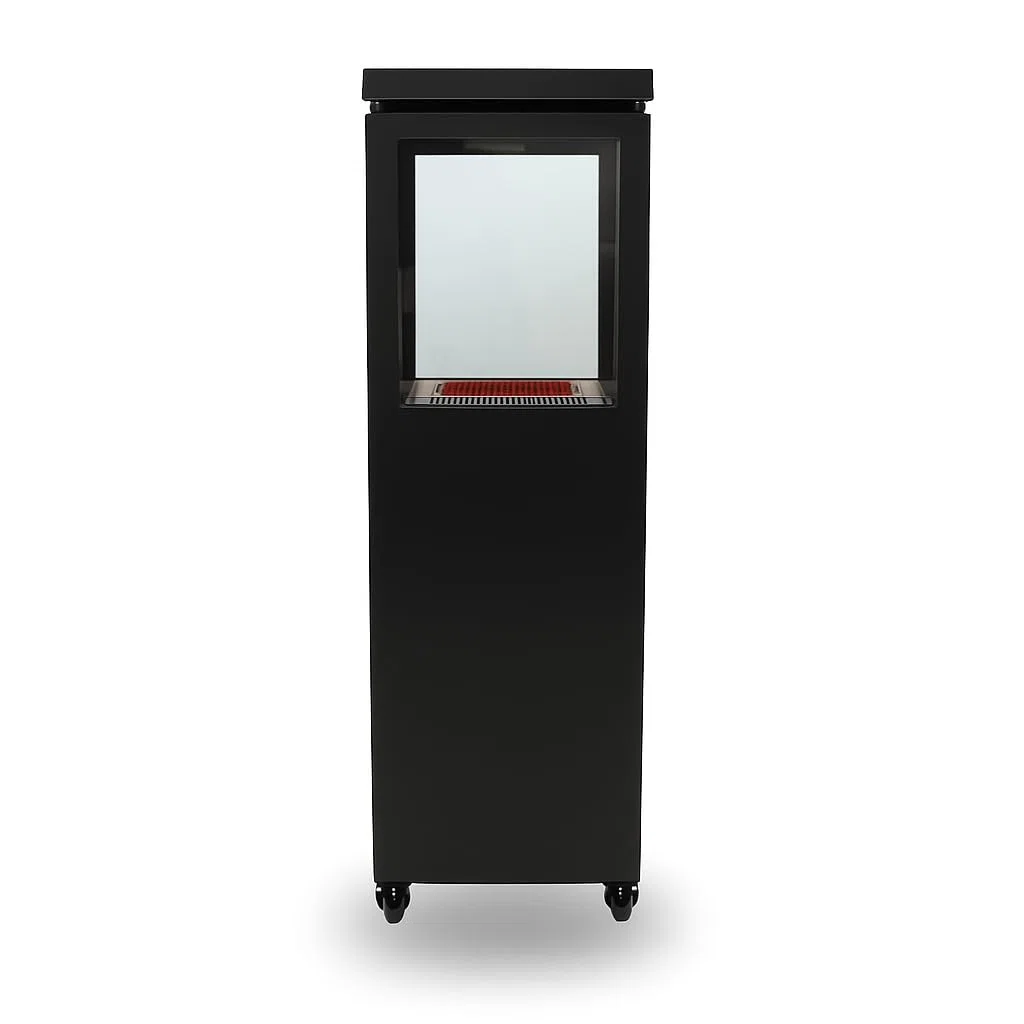 Utevarme Camino a gas per terrazza 6,5 kW 40 x 28 x 132 cm Acciaio stufa a gas nero