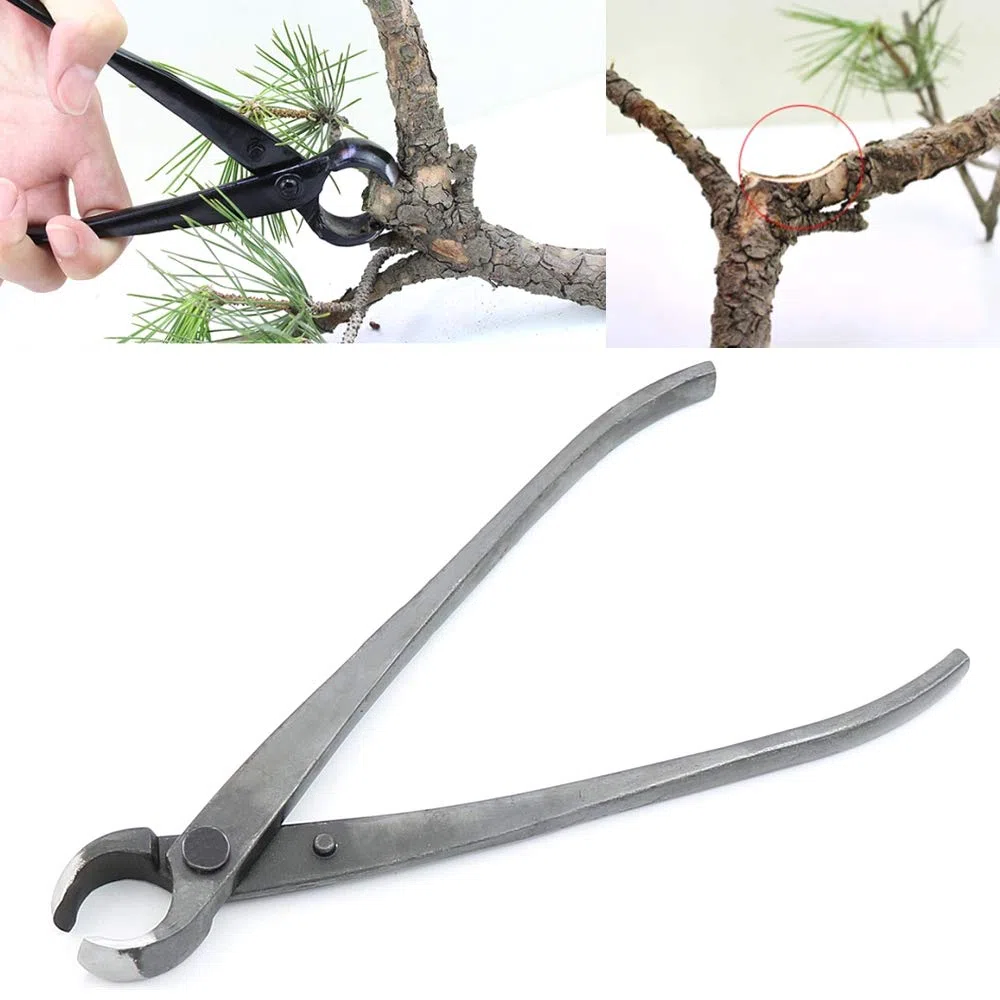 MBLUE Professionale Giardino Ramo Cutter 210mm Manganese Lega di Acciaio Bordo Rotondo Bonsai Strumento di Taglio Principiante Ramo Albero Strumento trim