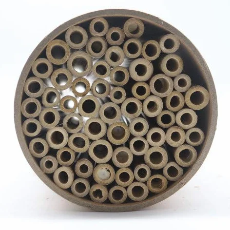 Tubi di bambù 10 cm per api selvatiche insetti inverno giardino balcone