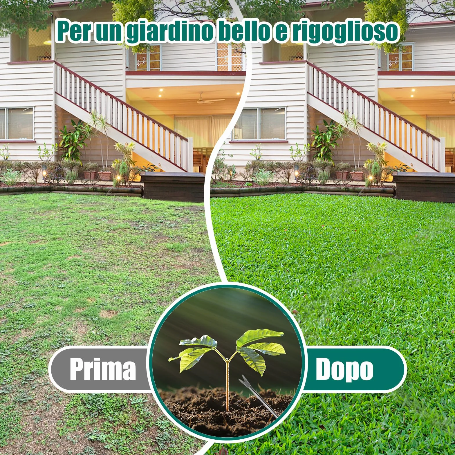 HYCHIKA Arieggiatore per Prato Manuale, 15 Pezzi di Punte in Acciaio Massiccio, Scarificatore per Prato, Aeratore per Prato Giardino