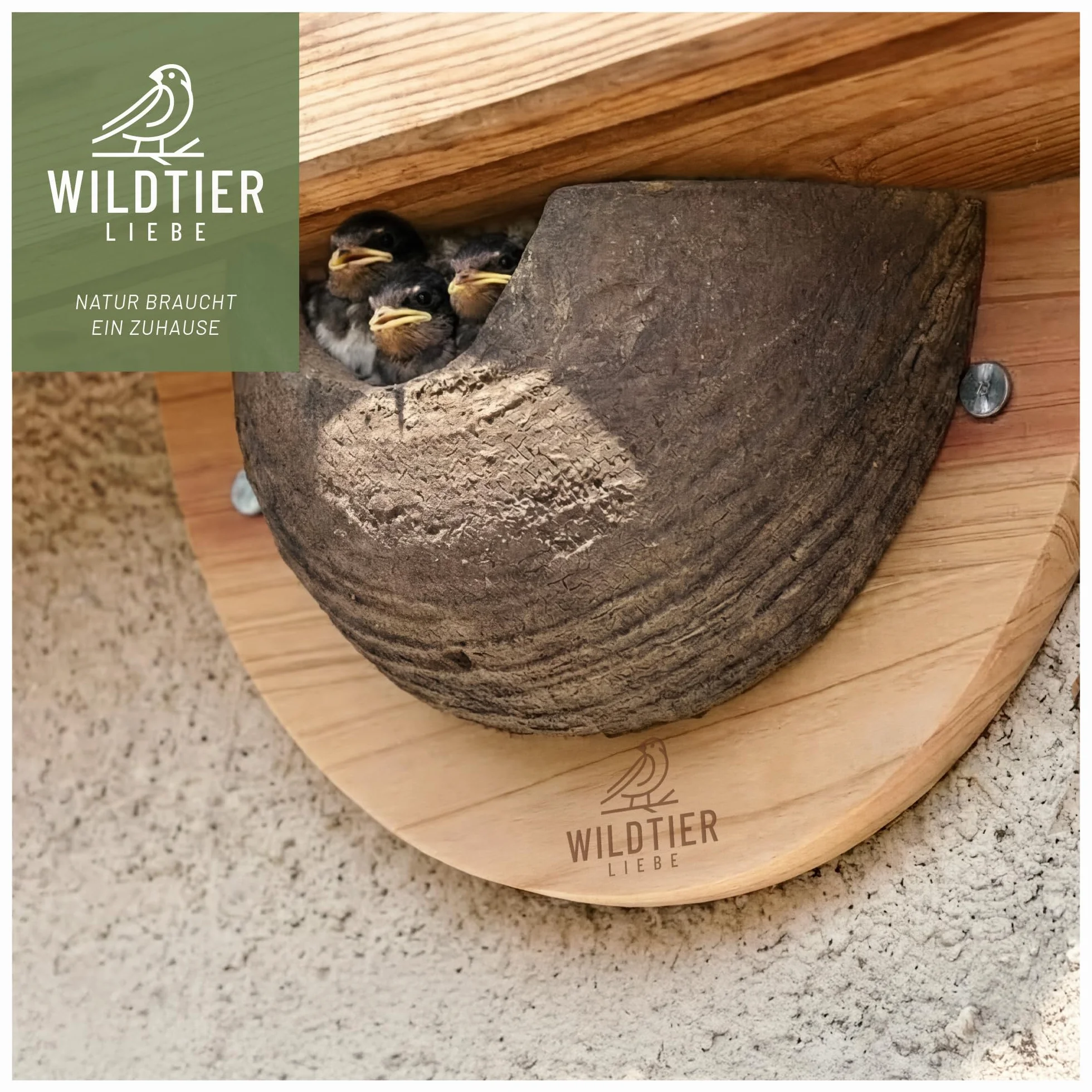 Nido per rondini in legno massiccio e argilla naturale wildtier liebe - resistente agli agenti atmosferici