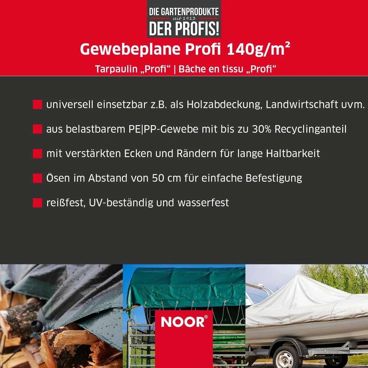 Noor telone di Copertura Professionale