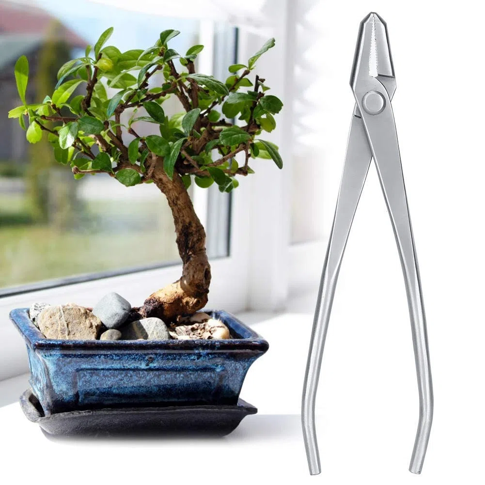 Attrezzo per Tagliare I Bonsai Cesoia Pomelli in Acciaio Inox con Tagliente Giardinaggio Attrezzi da Taglio