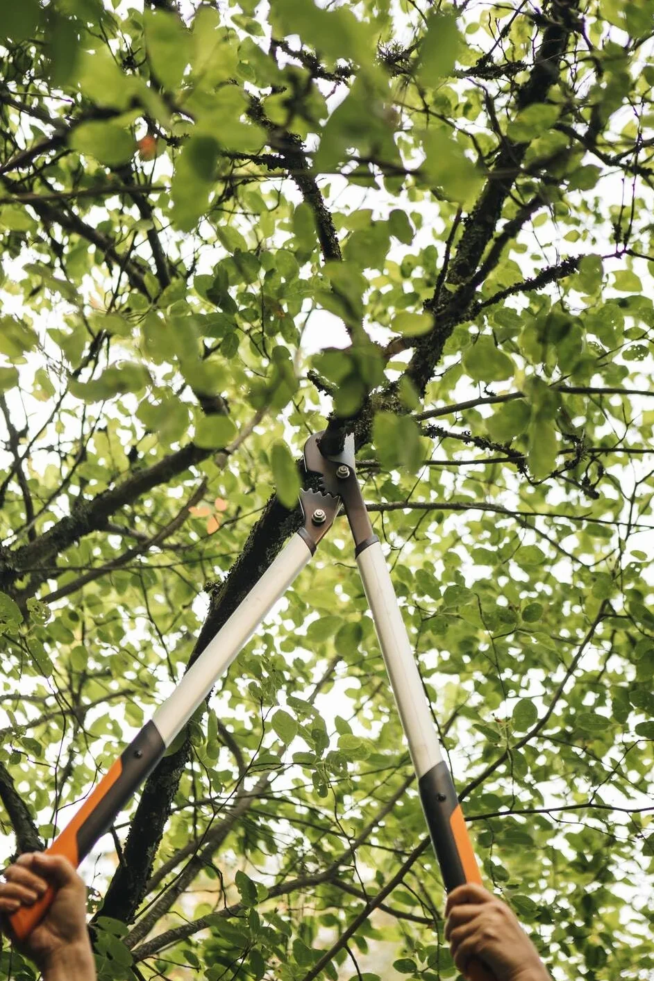Fiskars PowerGear X Troncarami Bypass, 5 cm Ø di taglio, 80 cm, Acciaio antiaderente, Nero/Arancione