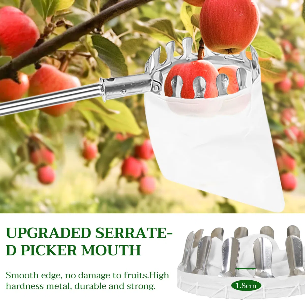 Raccogli frutta con manico telescopico, in acciaio inox, 4,2 m, raccogli mele, ciliegie, lunghezza regolabile, raccolta prugne, frutta con sacchetto di cotone