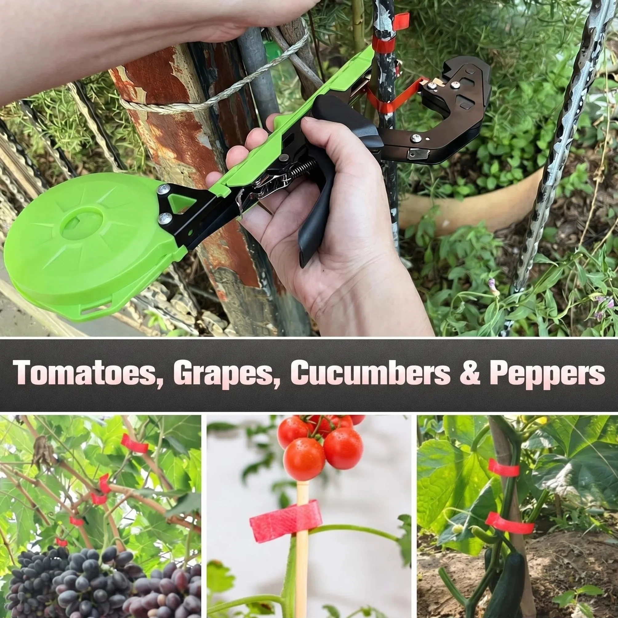 Legatrice Manuale per Pomodori Viti e UVA con Nastro e Graffette Verde/Nero