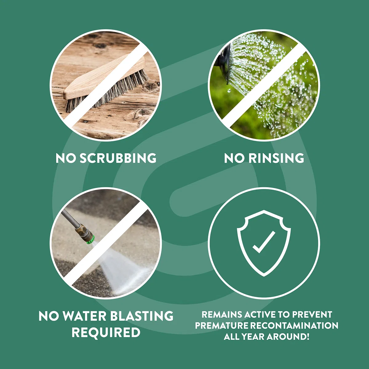 GLEAN Verde pulito 5 litri 300m² Rimozione alghe licheni muschi punti neri pronto applicazione nessuna diluizione