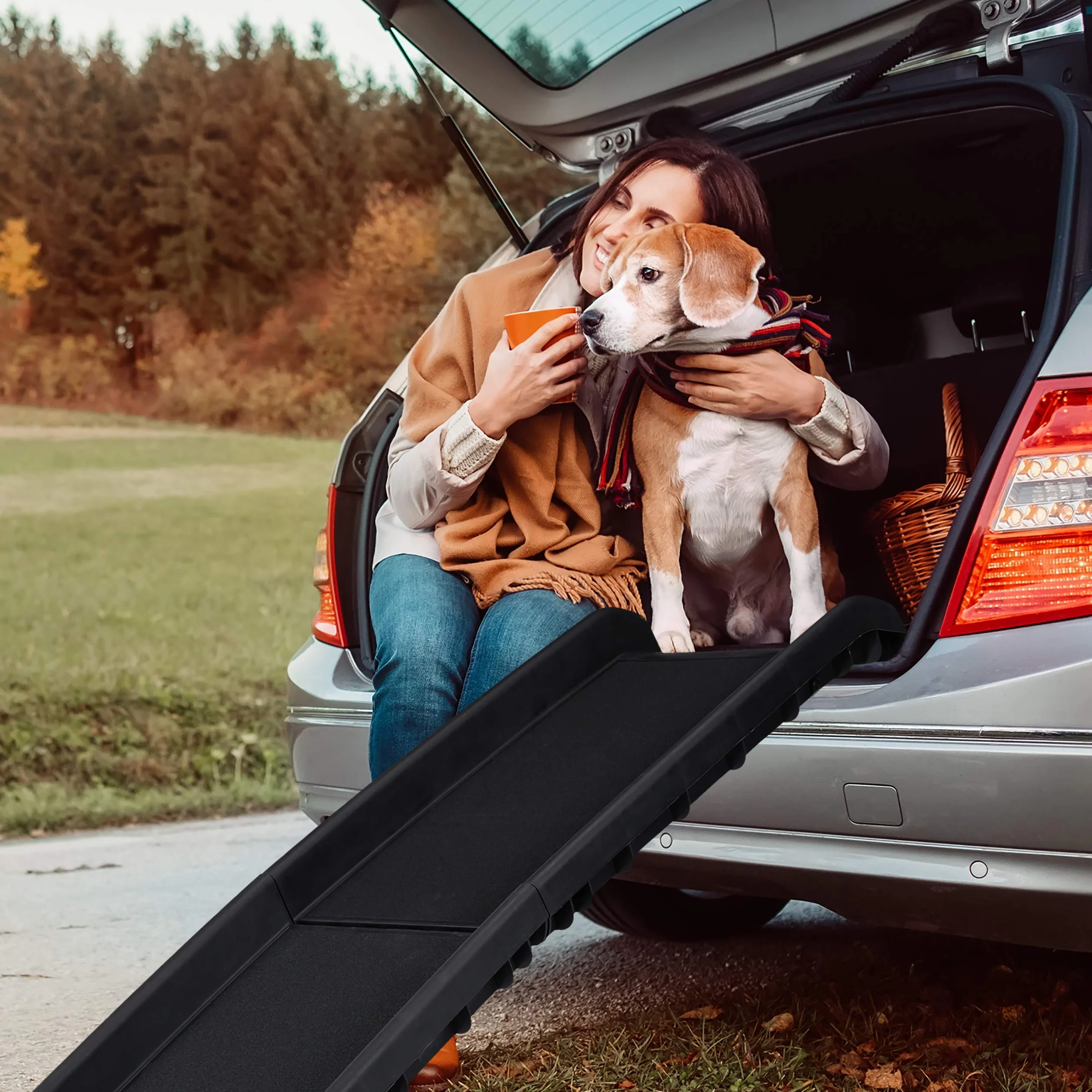Relaxdays Rampa da Auto per Cani Pieghevole Antiscivolo 90 kg 156x40 cm Nero