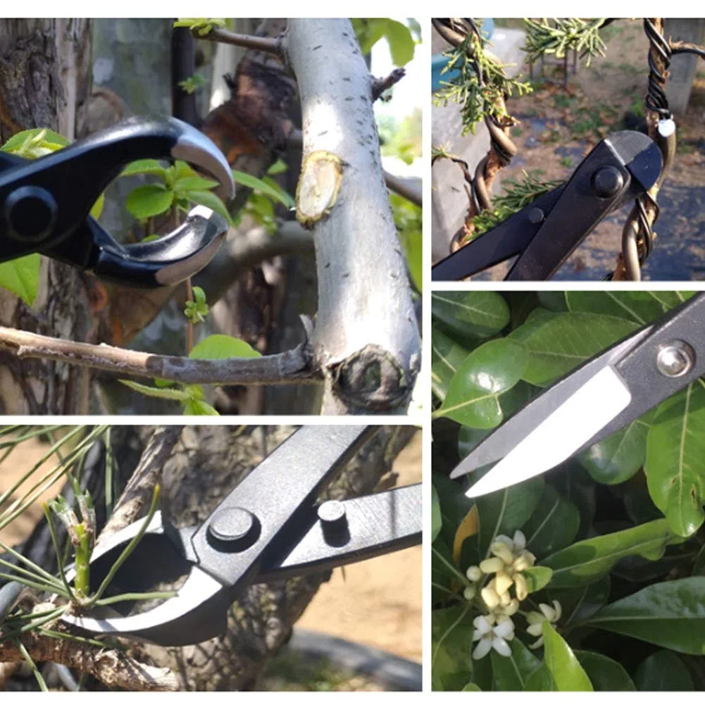 Set di Attrezzi per Bonsai, Kit di Taglio da Giardino, Acciaio Inossidabile di Alta qualità per Frutteto