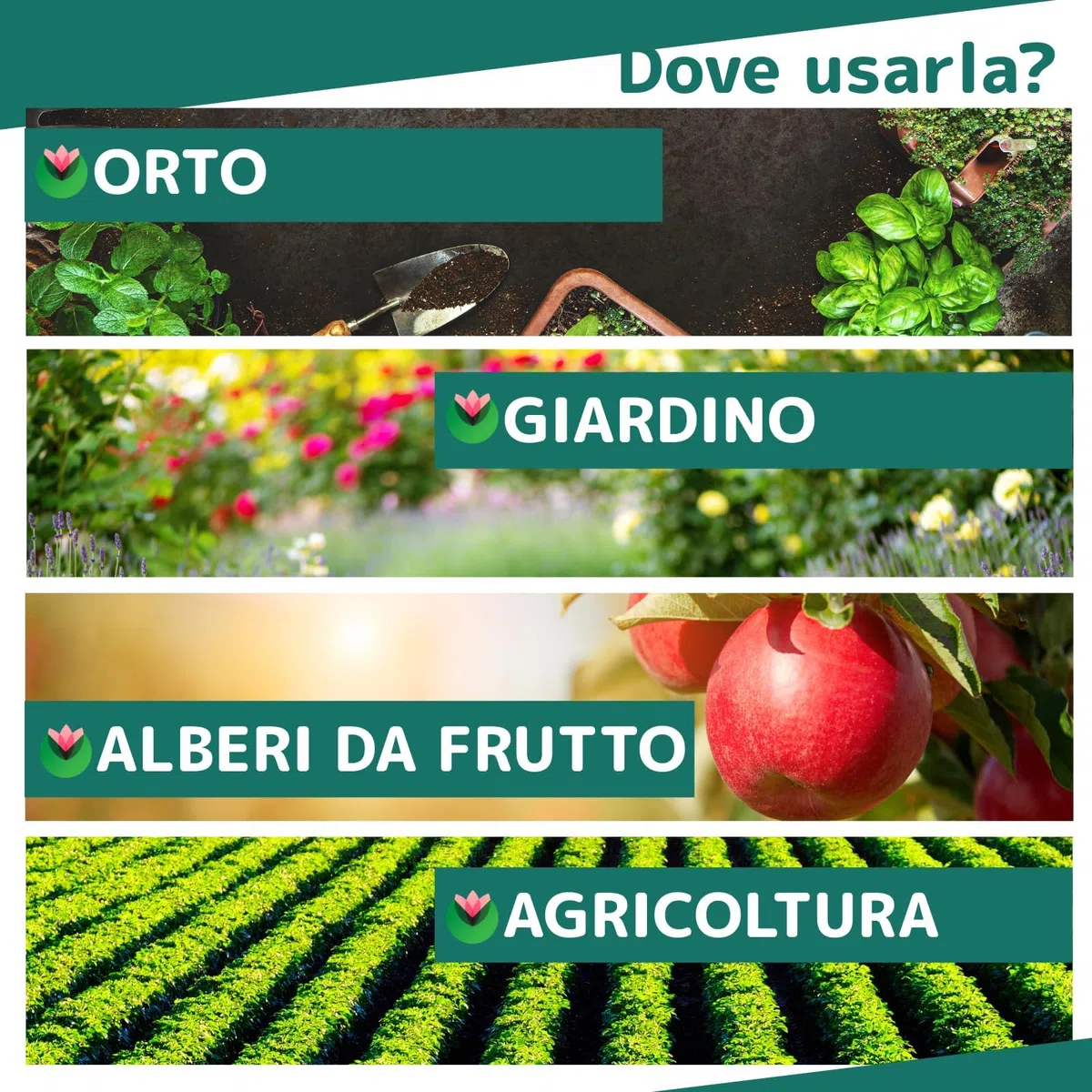 Fitokem Zeo Zeolite per Piante 6kg Polvere di Roccia per Agricoltura