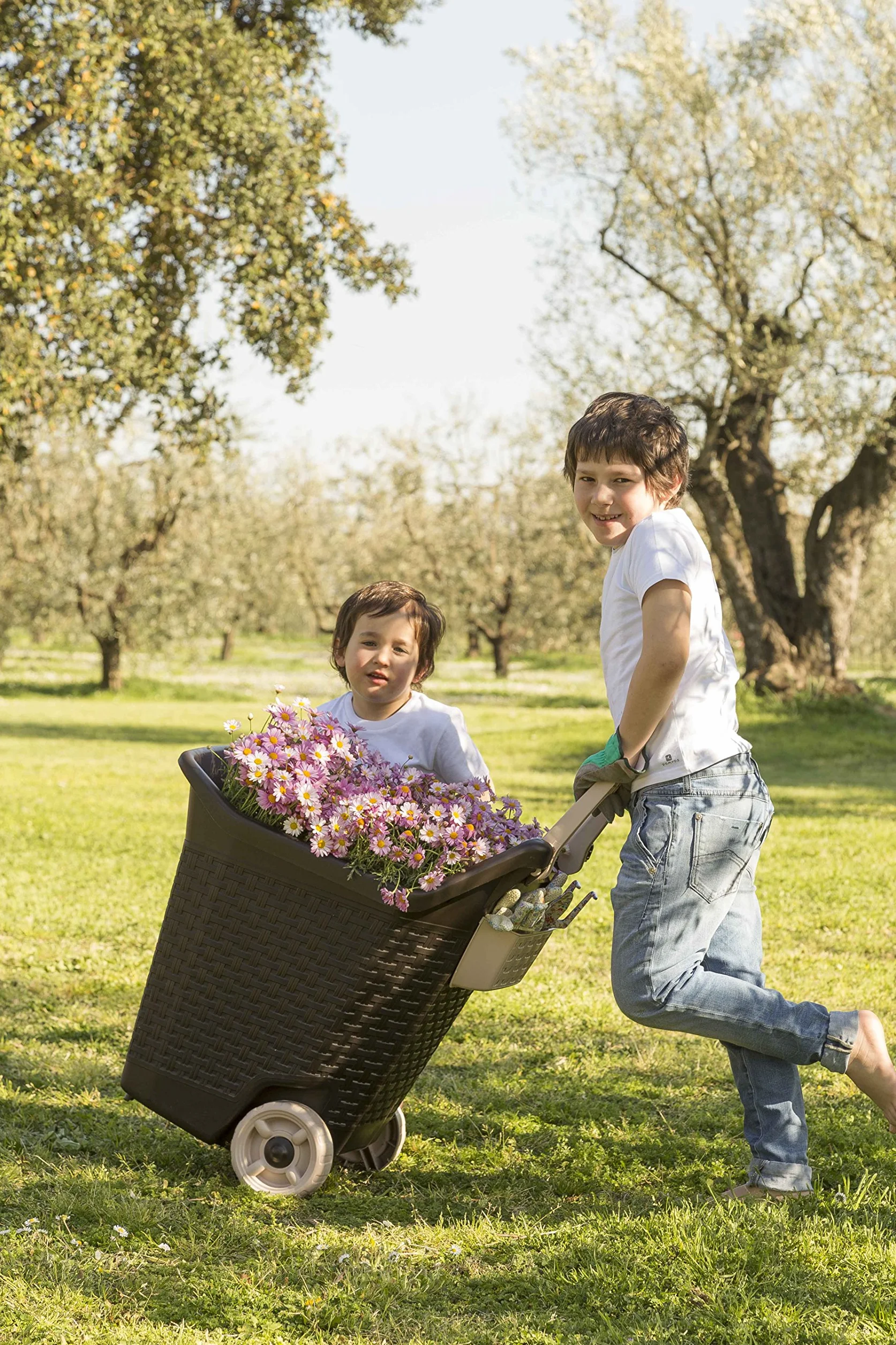 Bama Kart Carriola porta-tutto per Giardino 59 x 50 x 72 cm