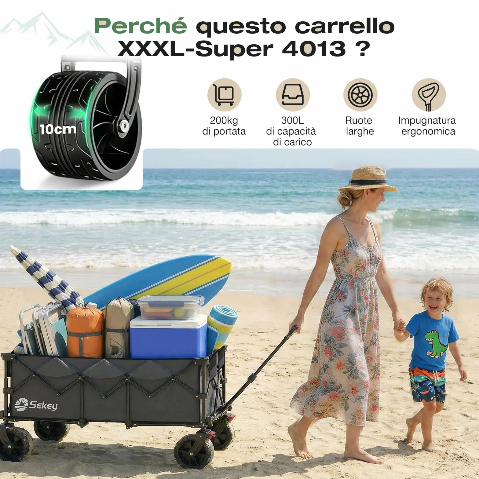 Sekey Carrello Spiaggia 300L 200KG Ruote Grandi 17x10 cm Pieghevole SE4013 Grigio