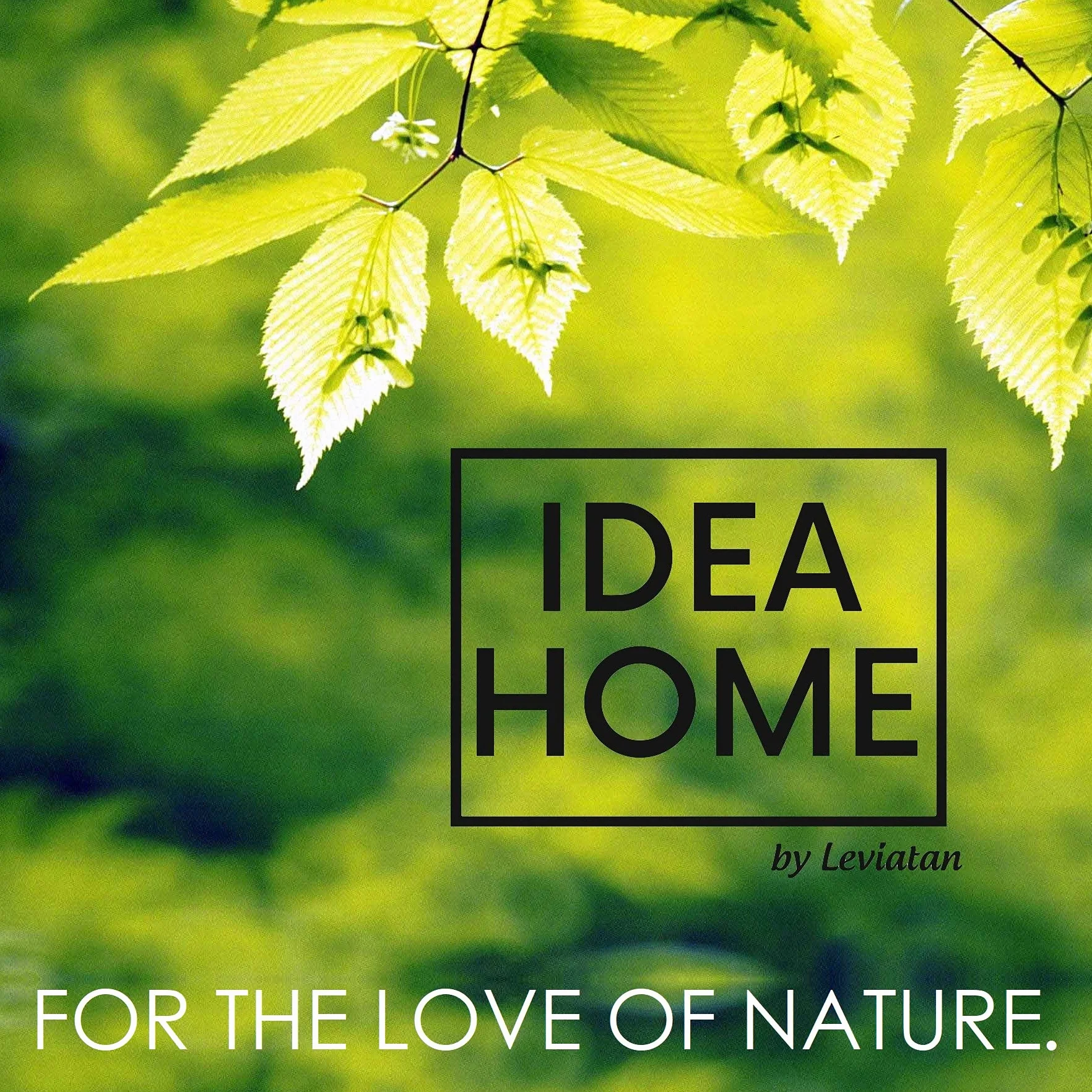 LEVIATAN - Casa per ricci | con pavimento in legno I Casa per tutto l'anno | Resistente alle intemperie | Perfetto per il giardino | Quartier invernale