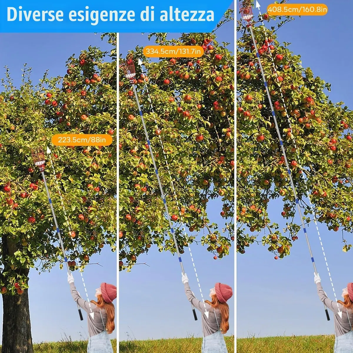 Raccoglitore di Frutta, Raccogli Frutta Olive Cachi Mela Arancia, Raccoglitrice con Palo in Acciaio Inox Leggero con Cuscinetto di Protezione, Strumento per Raccolta della Frutta Alto 4m Fruit Picker