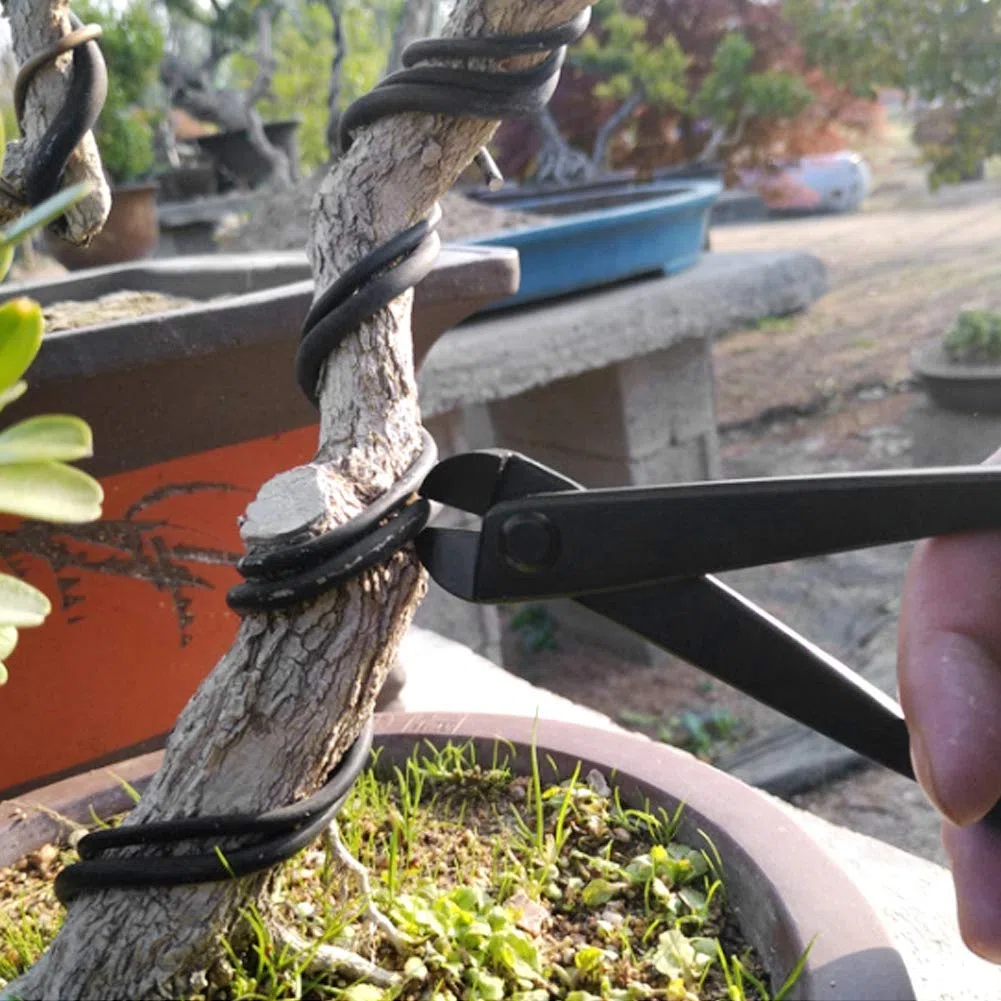 Set di Attrezzi per Bonsai, Kit di Taglio da Giardino, Acciaio Inossidabile di Alta qualità per Frutteto