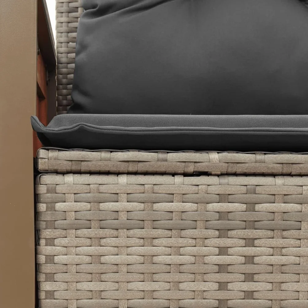 IKAYAA Divanetto da Esterno 2 Posti con Contenitore Divano da Giardino Salotto da Giardino in Polyrattan con Cuscini per Seduta e Schienale-Grigio-con Contenitore