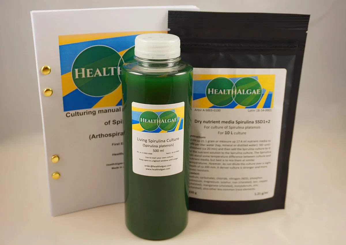 Spirulina platensis diretta (500 ml) + 10 L di Spirulina secca coltivata media SSD1 + 2 - coltura di alghe + fertilizzante (500+10)
