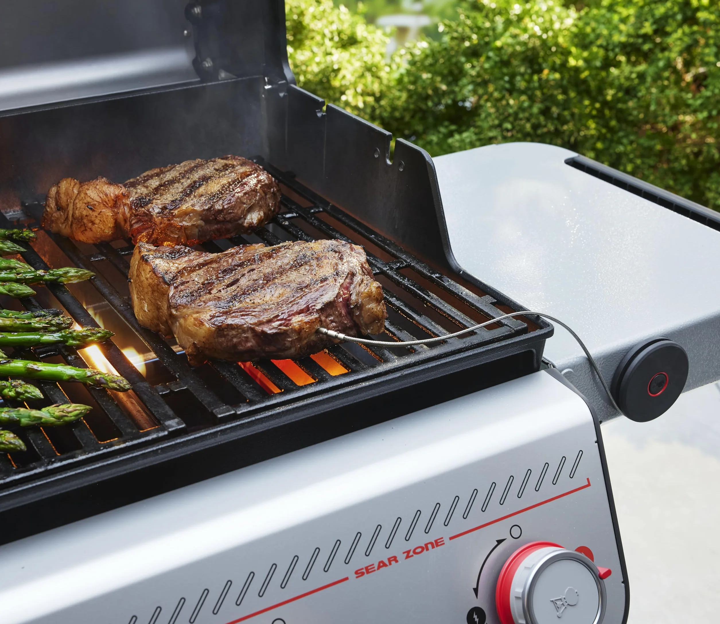 Weber Smart Thermometer con sonda per griglia e Carne/Misura Temperatura della griglia e al Cuore per Una Cottura Perfetta – Nero (3400590)