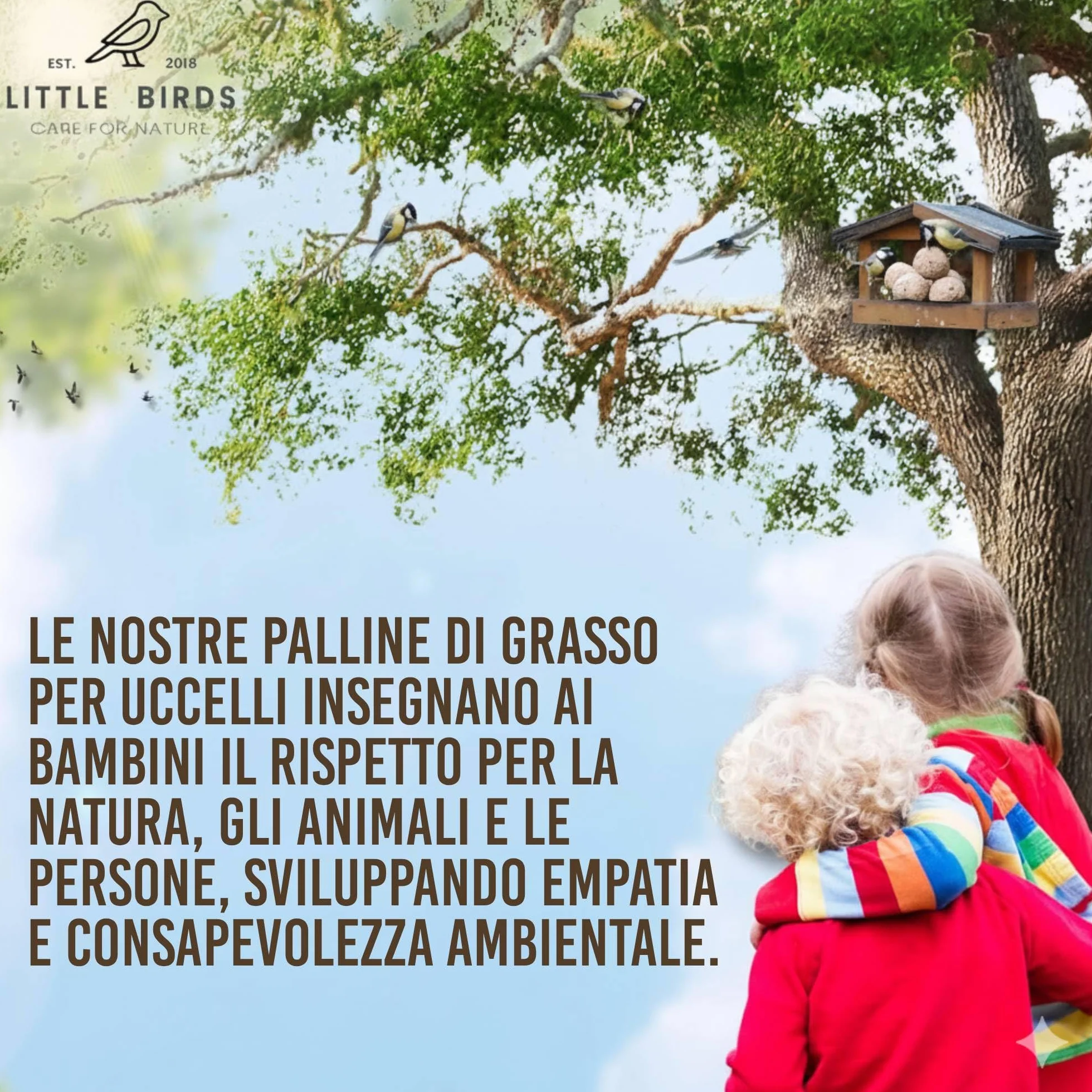 Care4Nature 100 Palline di Grasso per Uccelli Selvatici - Ingredienti Naturali