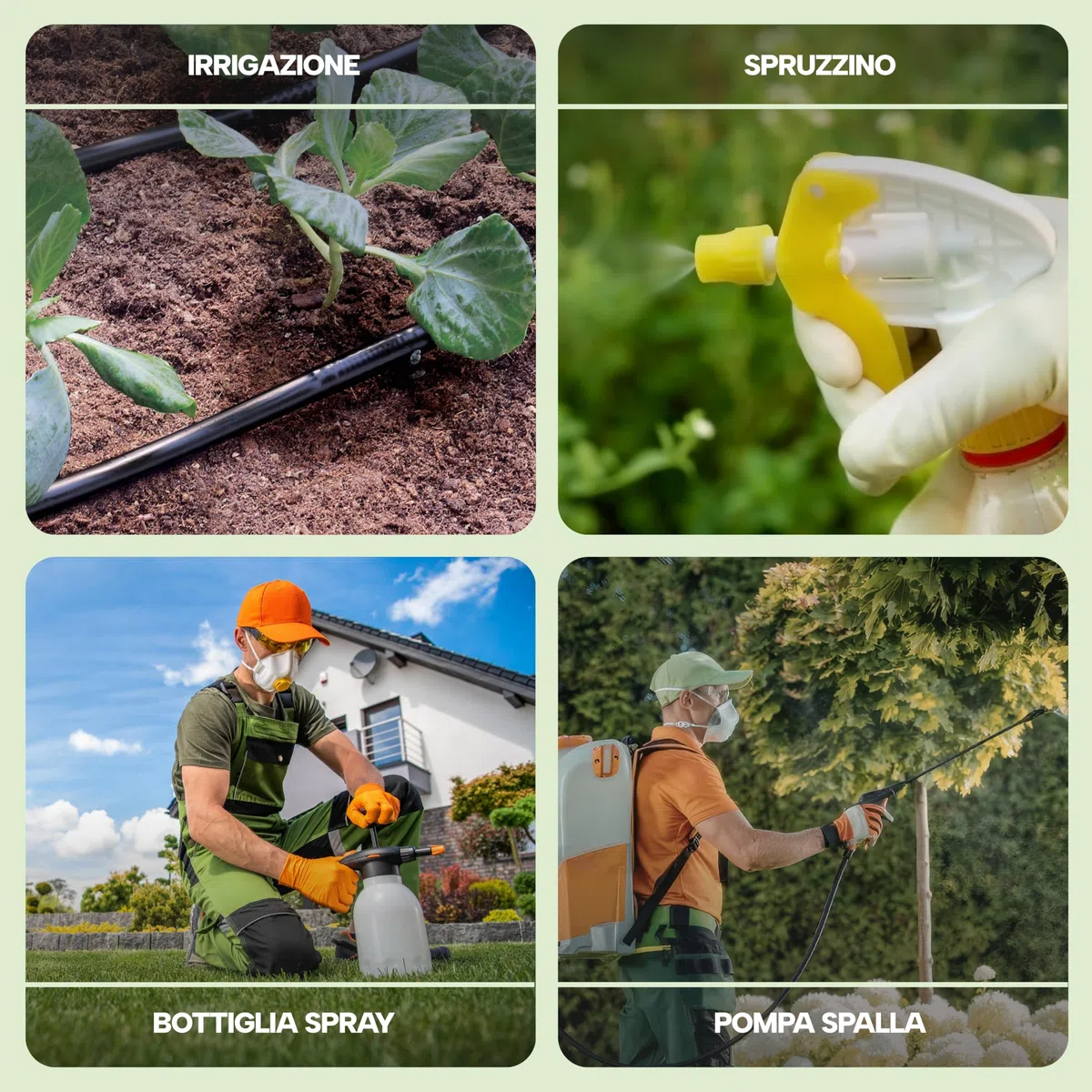 Fitokem Sapone Molle di Potassio 1lt e Olio di Neem 1lt Kit Protezione Piante Corroborante Naturale per Orto e Giardino contro Afidi e Cocciniglia Residuo Zero Made in Italy