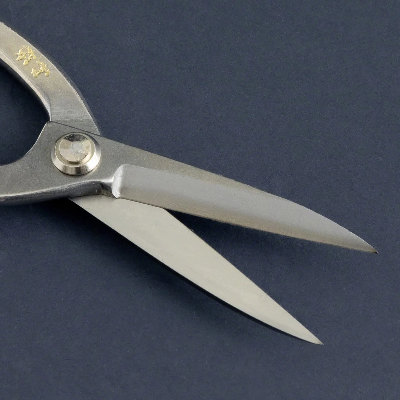 Forbici Ashinaga per Bonsai in Acciaio Inox Yasugi 200 mm Wazakura Giappone