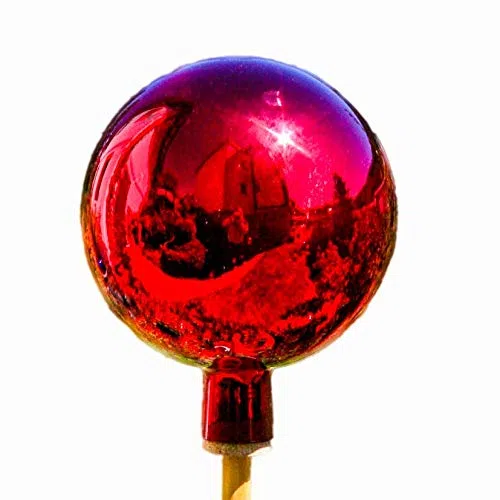 Thüringer Rose Palla 18 cm Rosso