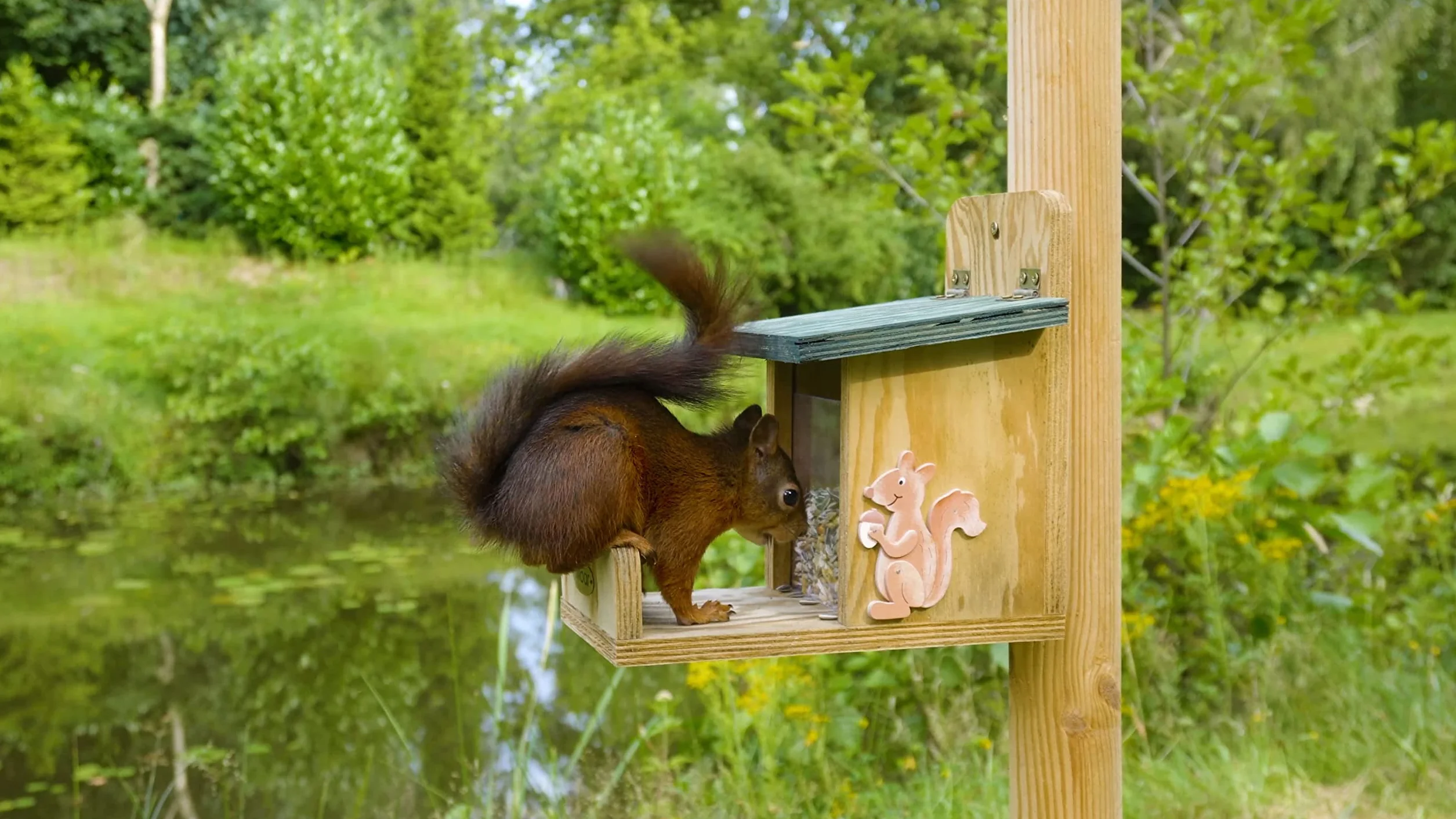 Luxus-Insektenhotels, casetta per scoiattoli di Alta qualità
